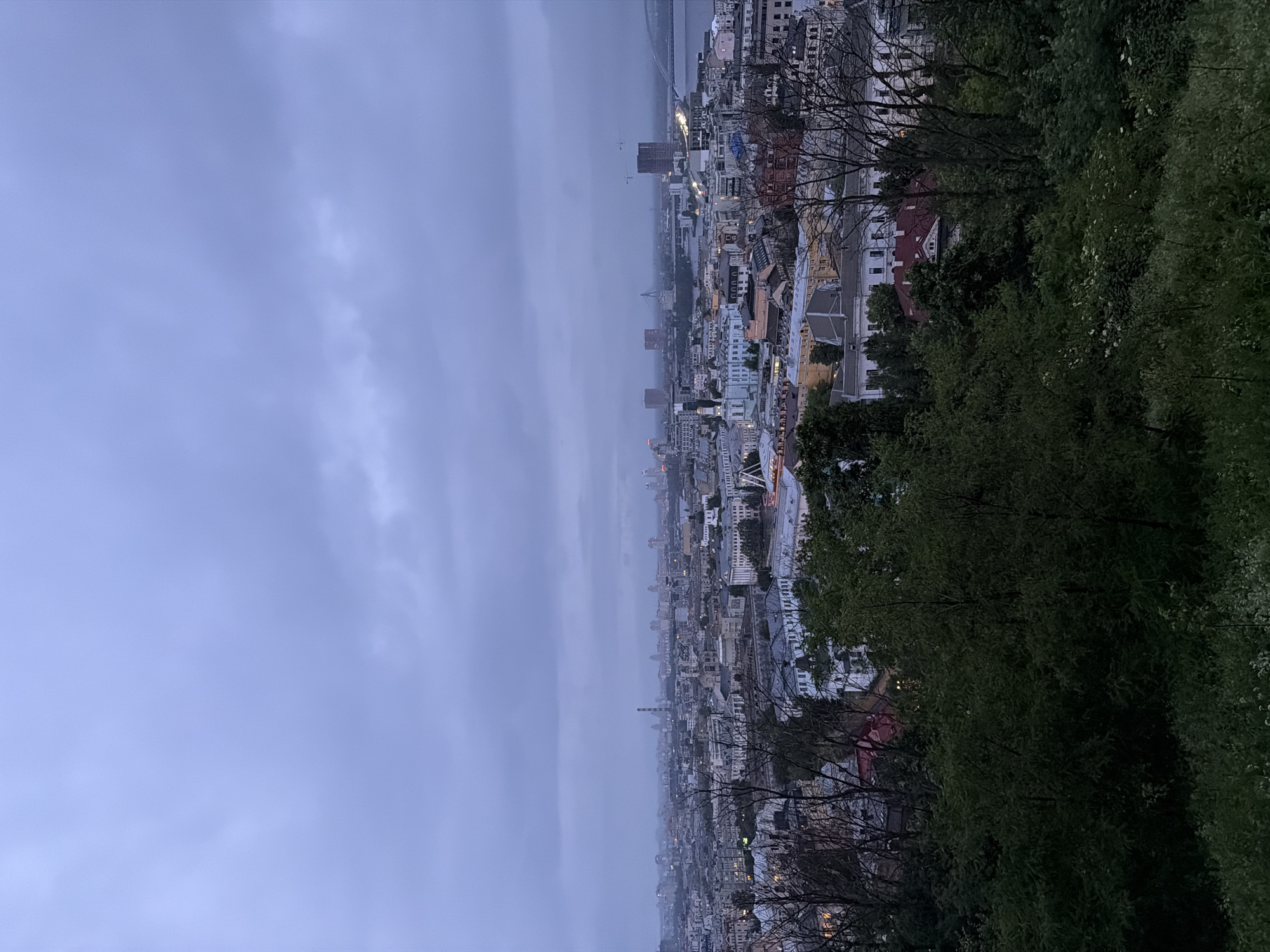 This is an aerial, wide shot of a city skyline at dusk, likely taken from a high vantage point in Kyiv, Ukraine. The foreground is dominated by dark, dense foliage and trees. Beyond the trees, the city unfolds with a variety of buildings, including residential structures, institutional buildings with classical architecture, and taller, modern high-rises. A wide river, likely the Dnieper, bisects the cityscape in the distance, with bridges spanning its width. The sky is overcast with heavy, grey clouds, and the lighting suggests twilight or a very cloudy day. The overall mood is subdued and somewhat muted due to the low light and cloudy conditions.