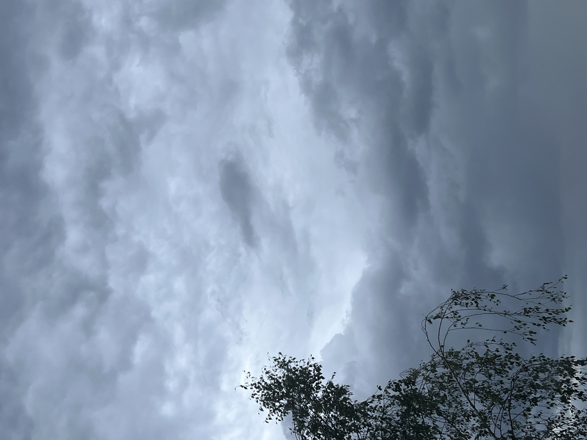 The image depicts a dramatic sky filled with dark, brooding storm clouds. The clouds are dense and textured, with areas of light and shadow creating a sense of depth and movement. Wisps of lighter clouds are scattered throughout, suggesting the turbulent nature of the weather.
In the foreground, the tops of two trees are visible, their branches and leaves silhouetted against the stormy sky. The tree on the right appears to be swaying, its slender branches bent by the wind, which is implied by the movement in the foliage. The leaves are dark green, creating a stark contrast with the grey sky.
The overall mood of the image is one of impending weather or a storm in progress. The lighting is dim, suggesting it is either early morning, late evening, or simply that the thick cloud cover is blocking most of the sunlight. There are no specific location cues visible, other than the provided context of Warsaw, Poland. No people or specific objects are discernible. The scene is natural and serene despite the stormy atmosphere, conveying a sense of nature's power and beauty. There is no visible text in the image.