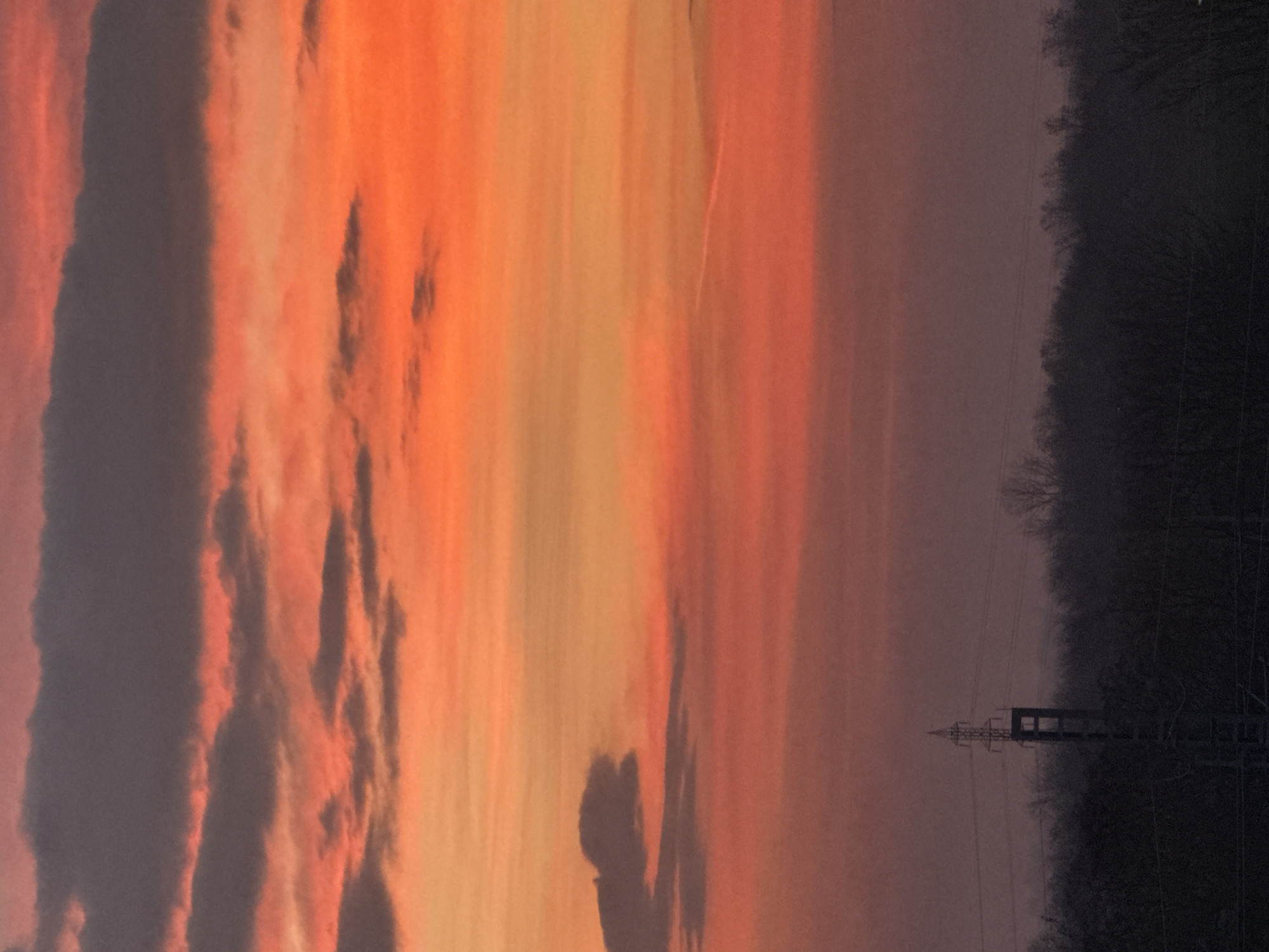 The image displays a twilight scene in Plovdiv, Bulgaria, characterized by a vibrant sky and a silhouetted foreground. The sky, occupying approximately two-thirds of the frame, exhibits a gradient of intense orange and red transitioning into deeper reddish-purple tones towards the bottom. Several elongated, dark grey clouds are visible across the upper and middle sections of the sky. A faint, linear contrail extends horizontally in the mid-right portion of the colorful expanse. The lower third of the image is dominated by a dark, horizontal band of densely packed trees, appearing as a silhouette against the lighter sky, suggesting a forest or treeline on the horizon. A prominent, dark lattice-steel electricity transmission pylon stands slightly left of center, its upper structure extending above the treeline into the twilight sky. Multiple power lines are visible, connecting to and extending from the pylon, and also running horizontally across the scene. No individuals or specific actions are depicted.