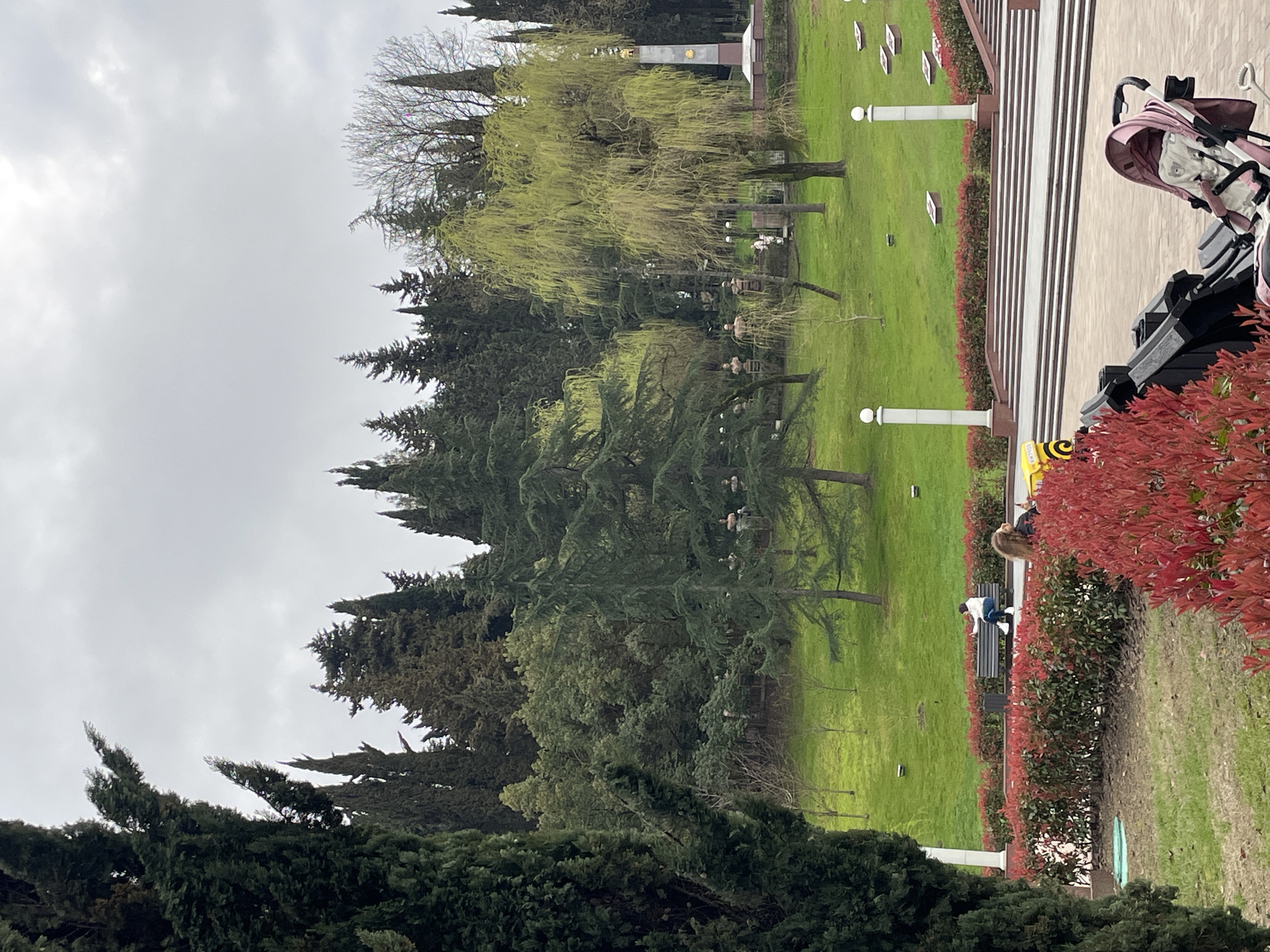 The image displays a section of the Glory Memorial Park in Sochi, Russia, under an overcast sky. The foreground features a paved area bordered by rows of red-leafed bushes, behind which a pink and white baby stroller is positioned, unoccupied. Adjacent to the stroller and partially obscured by the bushes, a bright yellow delivery bag with black markings is visible. In the mid-ground, a person wearing a white jacket and dark pants is seated on a dark park bench, facing away from the camera, actively observing a smartphone. A dark trash receptacle is located next to the bench.
The park terrain slopes upwards, covered by a manicured green lawn. Several tall, dark green coniferous trees are prominent, particularly on the left and in the distant background. Numerous dark-colored busts on pedestals are arranged on the grassy slope, contributing to the memorial theme. In the background, a grey obelisk memorial featuring a gold star at its apex stands against a backdrop of dense trees. Multiple white columnar light fixtures with spherical tops are interspersed throughout the scene, flanking a wide set of light-colored steps that ascend the slope. Several rectangular, light-colored markers are visible embedded within the grass on the upper slope. Indistinct figures are visible in the distant background, near the main obelisk.