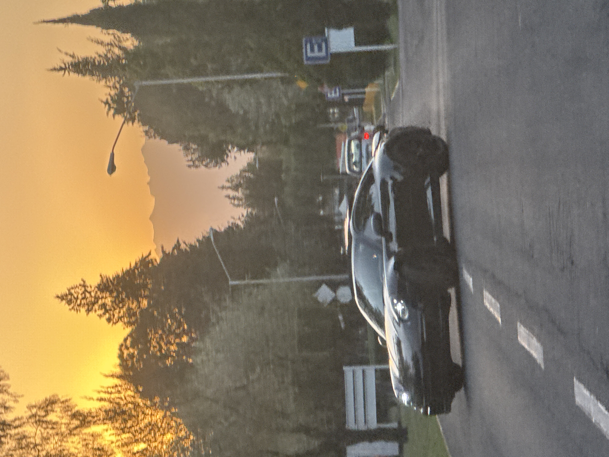 This image captures an outdoor scene, likely a street or road in San Andrés Cholula, Mexico, bathed in the warm light of either sunrise or sunset.
The primary subject is a dark-colored car, possibly a sports car identifiable by its sleek front design and distinctive headlights, positioned on the right side of the road. The asphalt road surface shows clear white dashed lines indicating lanes.
The time of day is a notable detail, with a striking golden-orange sky dominating the left side of the frame, casting a soft, warm glow. Numerous trees are silhouetted against this bright horizon, their intricate branches and foliage visible. A tall streetlamp pole with its light fixture is also silhouetted against the glowing sky.
In the background, several road signs are visible. One appears to be a blue-bordered sign containing a white symbol resembling a stylized 'E' or a parking indicator. Another plain white rectangular sign is also discernible. A small red light, possibly from a distant vehicle's brake light or a traffic signal, can be seen further down the road.
The overall scene conveys a sense of tranquility and the beauty of early morning or late evening light. No people are explicitly visible in the frame. The image has a slightly grainy texture.