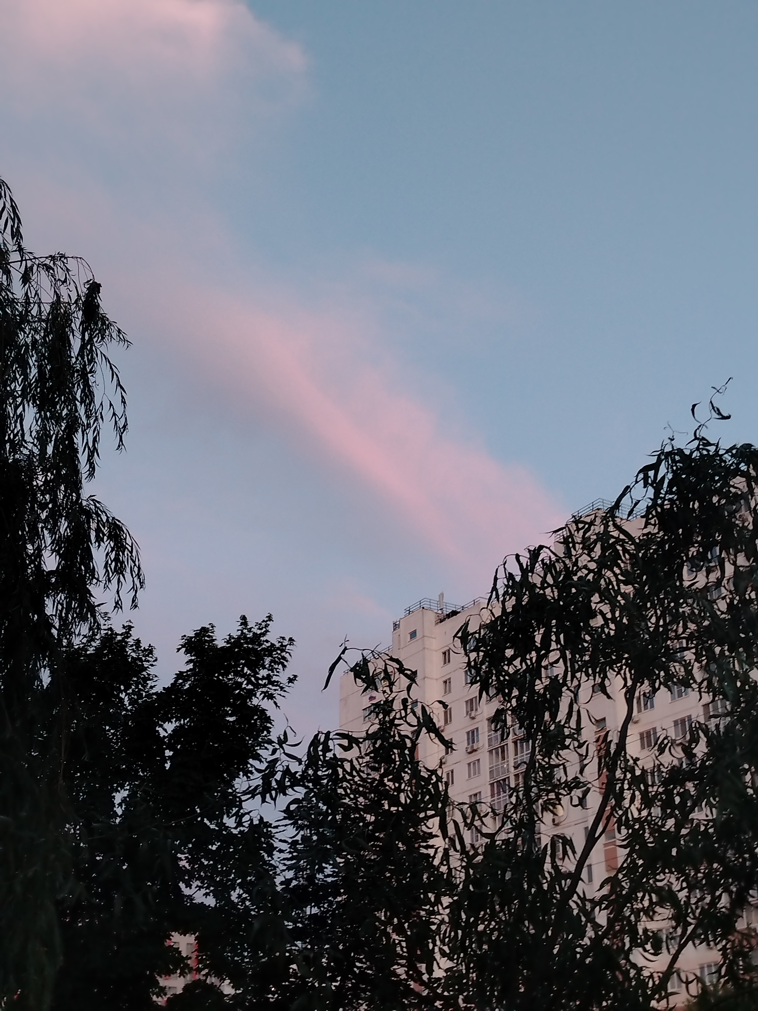 The image depicts a serene sky with wisps of pink clouds against a pale blue backdrop. Silhouetted trees frame the scene, their dark branches reaching towards the sky. In the background, a modern, multi-story apartment building stands, its white facade punctuated by numerous windows. The lighting suggests it is either dawn or dusk. The scene is consistent with an urban environment in Krasnodar, Russia, where such apartment complexes are common and the skies can display beautiful pastel hues during twilight hours. No people or specific actions are visible.
