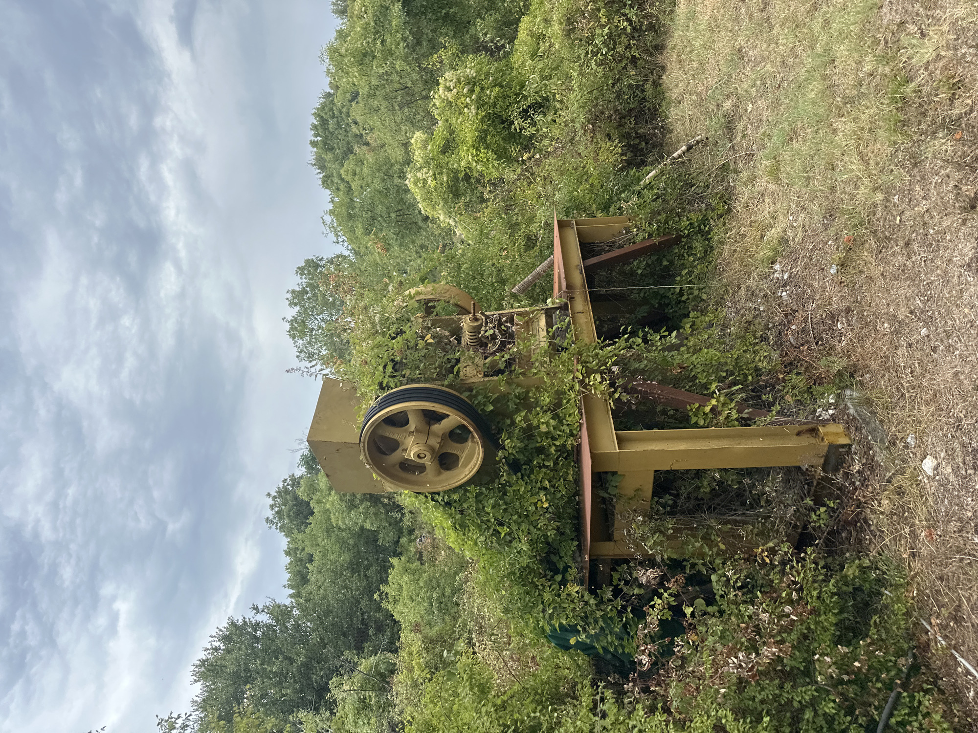 The image shows an overgrown, abandoned industrial machine in a natural setting. The machine is primarily yellow and appears to be a pulley system with a large wheel. It is surrounded by dense green foliage, with trees visible in the background under a cloudy sky. The ground in front of the machine is covered in dry grass and some debris. The scene suggests a location that has been left unattended for some time, with nature reclaiming the man-made object. The location is in Cetinje, Montenegro, as indicated by the metadata.