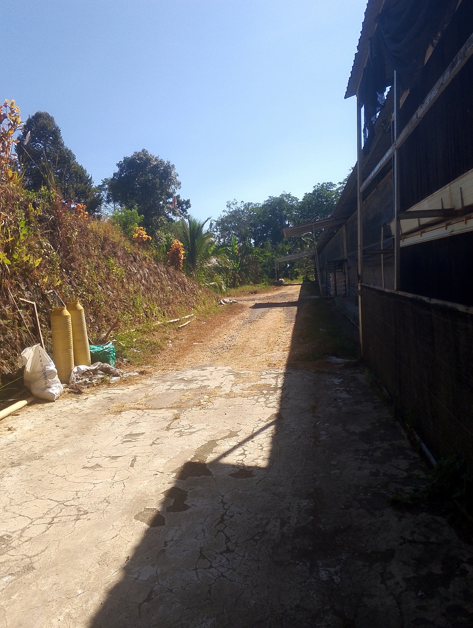 This is a medium shot of a rural road in Tomohon, Indonesia, with a building on the right and a hillside on the left. The road is paved with concrete and cracked in places, with gravel and dry leaves scattered on it. The hillside is covered in vegetation, with trees and bushes. The building appears to be a long, open-sided structure with a corrugated metal roof. The sky is clear and blue. There are two yellow cylinders leaning against the hillside on the left, and a white plastic bag next to them. There is also a green tarp on the ground. The overall impression is one of a slightly neglected, outdoor area.