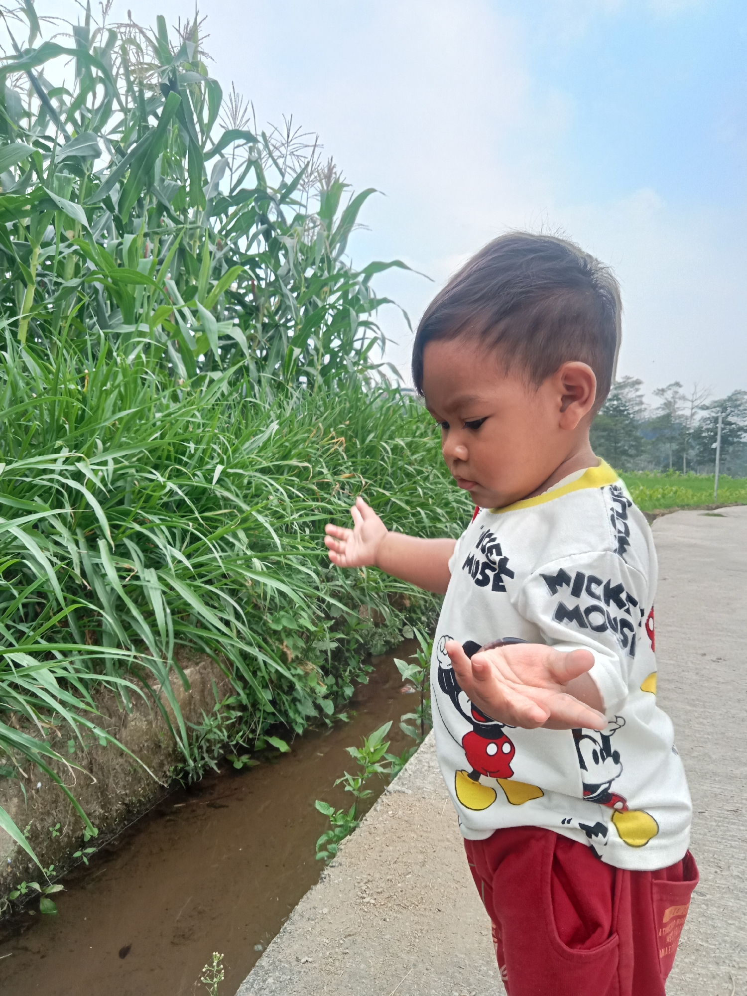 A young boy with short, dark hair, wearing a white t-shirt with a Mickey Mouse design and red pants, stands on a paved path next to a narrow, muddy ditch filled with water. Tall green corn stalks border the ditch on the left, and in the background, there is a field with scattered trees under a hazy, light blue sky. The boy's body is angled to the left, and he is looking down with his arms extended outwards, palms up, as if questioning or reaching for something. The scene appears to be outdoors, possibly in a rural area, as suggested by the cornfield and the absence of urban infrastructure. The lighting indicates it is daytime, with diffused light suggesting an overcast or hazy condition.