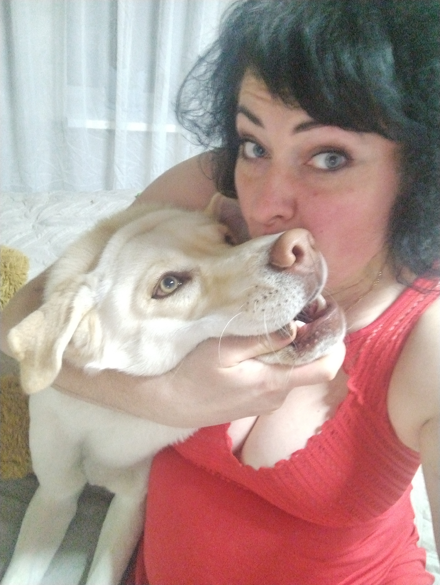 A woman with dark, curly hair and light blue eyes is holding a pale yellow Labrador Retriever dog. The woman is wearing a red, low-cut tank top. The dog has its mouth open and appears to be playfully nipping or chewing at the woman's chin. They are positioned in front of a window with sheer white curtains, possibly indoors on a bed. The exact location within Grishanki, Russia, is not discernable from the image.