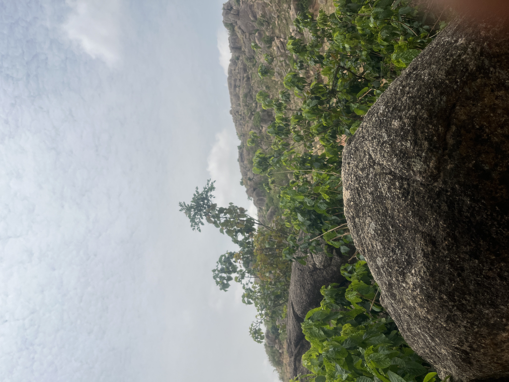 The image depicts a natural landscape in Barakin Akawo, Nigeria. In the foreground, a large, textured gray rock is prominently featured. Lush green vegetation, including trees and shrubs, fills the midground, partially obscuring smaller rocks. In the background, a rocky hillside with sparse vegetation stretches upwards toward a cloudy sky.