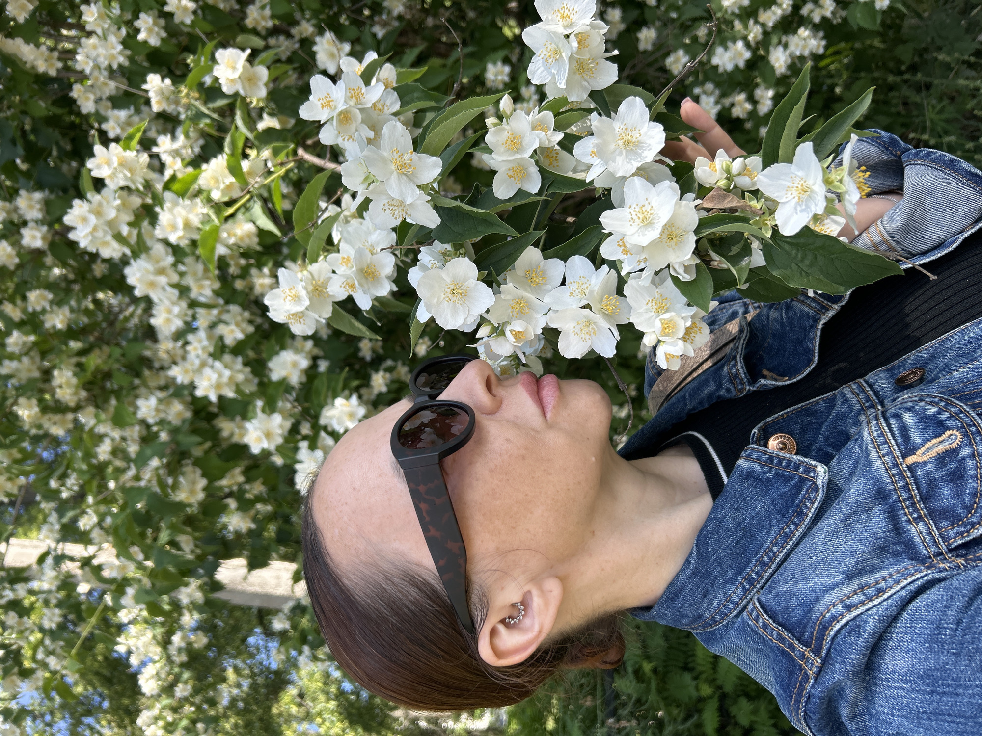 A medium shot captures a woman with her head turned to the right, inhaling the fragrance of a cluster of white jasmine flowers. She is wearing large, dark, tortoiseshell-patterned sunglasses and a denim jacket over a black top. A small, star-shaped earring is visible in her upper ear. The background is a dense bush of blooming white jasmine flowers, suggesting a warm, sunny day, possibly in a park or garden setting in the city of Chaikovsky, Russia. The woman's expression is one of peaceful enjoyment as she connects with nature.