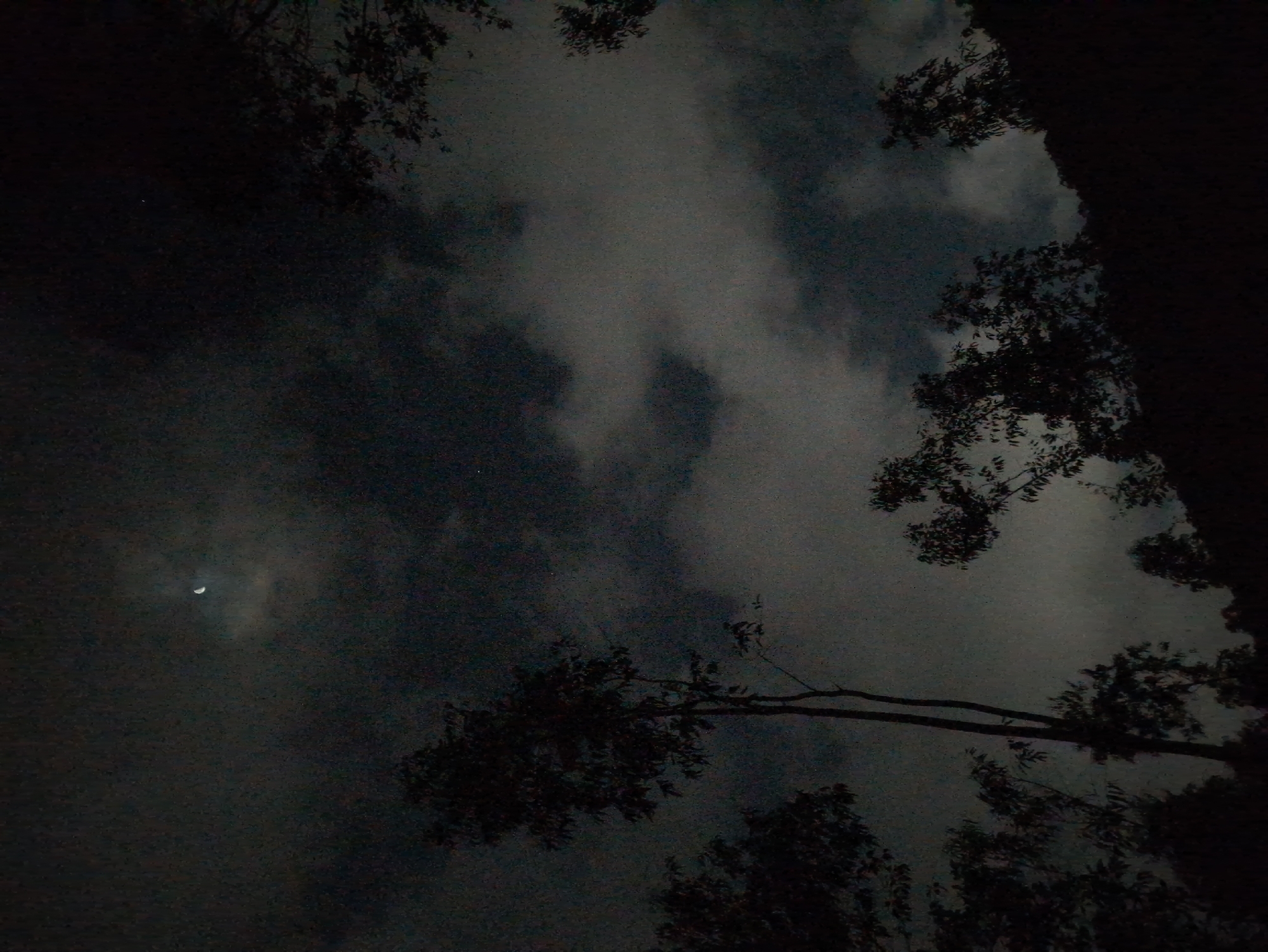A nighttime scene is captured in South Quy Nhon Ward, Vietnam. The heavily overcast sky, dominated by dark grey clouds, features a visible crescent moon in the upper-center. Multiple trees and dense foliage are silhouetted against the dark sky. A prominent, tall, slender tree is positioned slightly left of center, its silhouette extending vertically. Additional trees and vegetation form dark masses along the bottom and right frame edges, indicating a forested or hilly terrain. No persons, animals, or man-made structures are visible. Ambient illumination is provided by the partially obscured moon, rendering a dark, grainy visual.