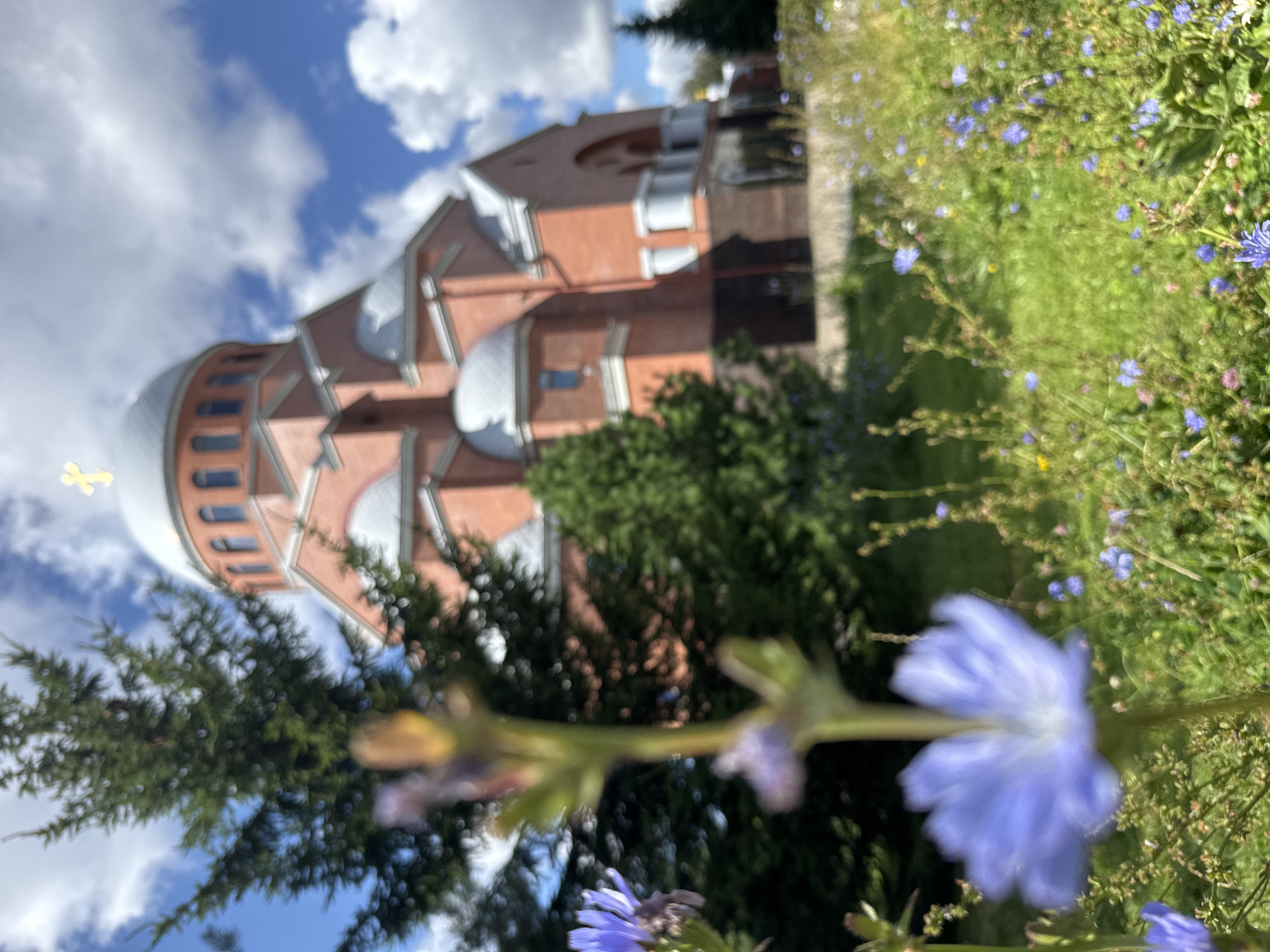 The image shows a brick church with a grey dome topped with a golden cross. The church is set against a blue sky with white clouds. In the foreground, out-of-focus blue wildflowers and green grass are visible. The architecture suggests it is an Orthodox church. While the image does not provide specific geographical markers to pinpoint its exact location within Saint Petersburg, Russia, it depicts a typical religious building found in the city. There are no people or animals visible in the image.