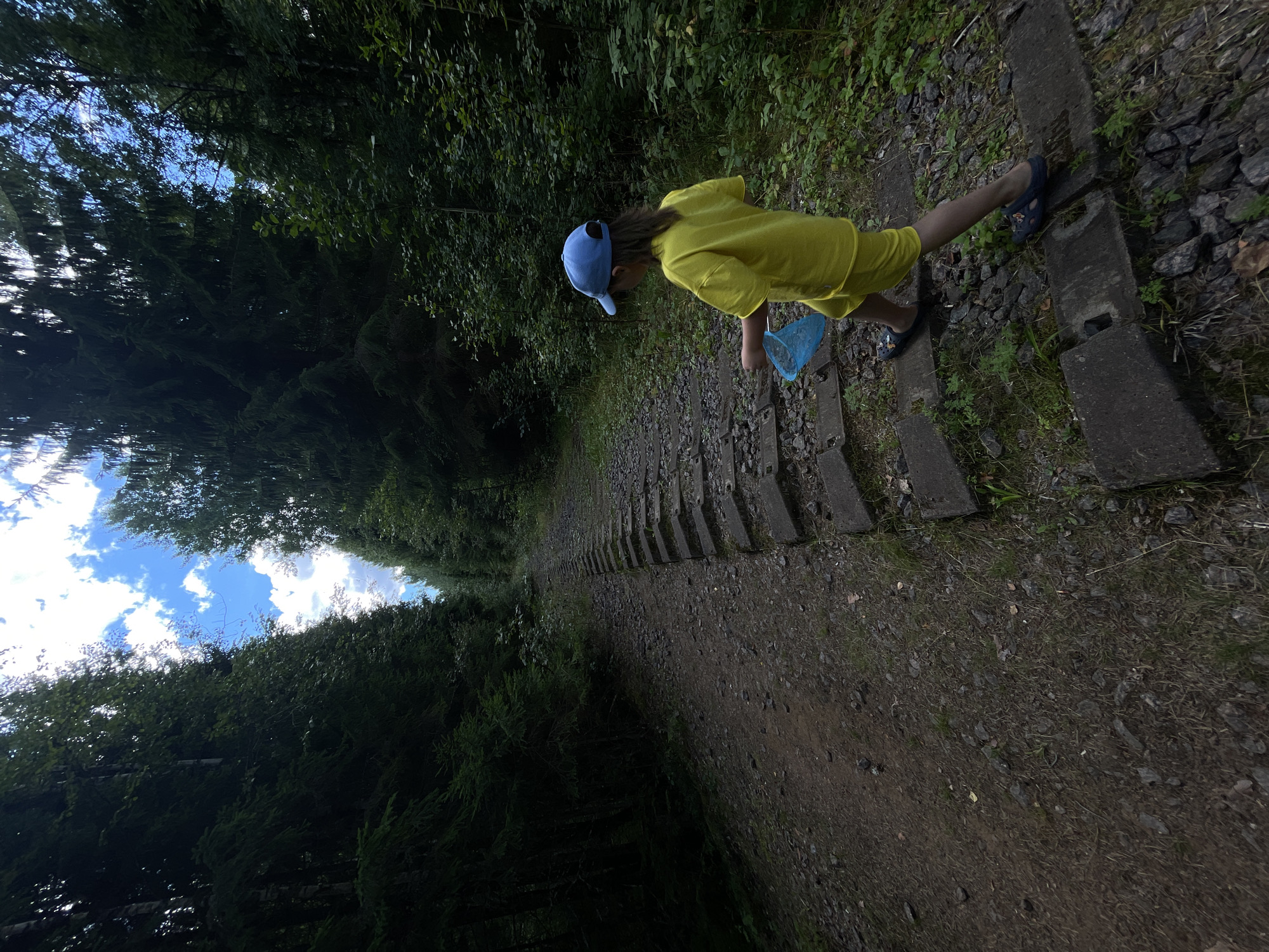 A young child wearing a yellow t-shirt, yellow shorts, a blue baseball cap, and dark blue clogs walks along a gravel path with concrete railway ties in a forest. The child is holding a blue butterfly net in their right hand. The path is flanked by dense, dark green trees on both sides. The sky above is bright blue with scattered white clouds, visible through the canopy of the trees. The scene appears to be located in a natural environment, possibly a park or a trail, within or near the city of Pobeda, Russia, given the context provided.