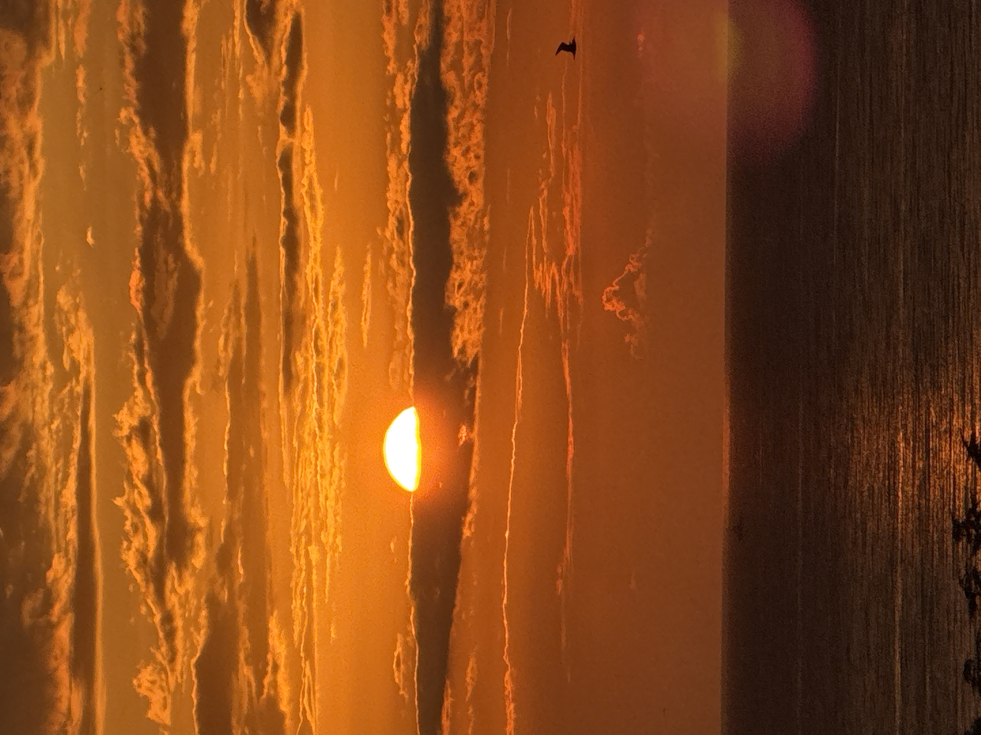 The image depicts a sunset over the Black Sea near Batumi, Georgia. The sky is filled with clouds tinged with vibrant orange and yellow hues, illuminated by the setting sun which is partially obscured by a layer of clouds. A sliver of the sun is visible, casting a bright glow. In the distance, a single bird is in flight against the colorful sky. The sea below is dark, reflecting the colors of the sky, with a gentle ripple on its surface. The horizon line is clearly defined, separating the sky from the water. In the lower foreground, silhouetted trees are visible along the shoreline.