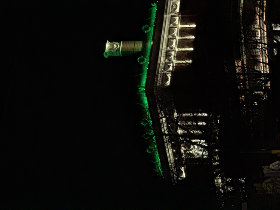 The image captures the National Bank of Bulgaria (BNB) building in Sofia, Bulgaria, at night. The upper portion of the large, ornate structure is illuminated against a dark, unfeatured sky. The building's roofline, characterized by a mansard style, is brightly highlighted with vibrant green lighting. Below the roof, the facade's upper story displays classical architectural elements, including pilasters and decorative cornices, lit from below with white or warm white uplighting. A prominent, ornate chimney stack rises from the roof towards the right side of the frame. The lower half of the building and the immediate foreground are partially obscured by the dark, silhouetted branches of leafless trees. No people, discernible actions, or interactions are visible within the scene.