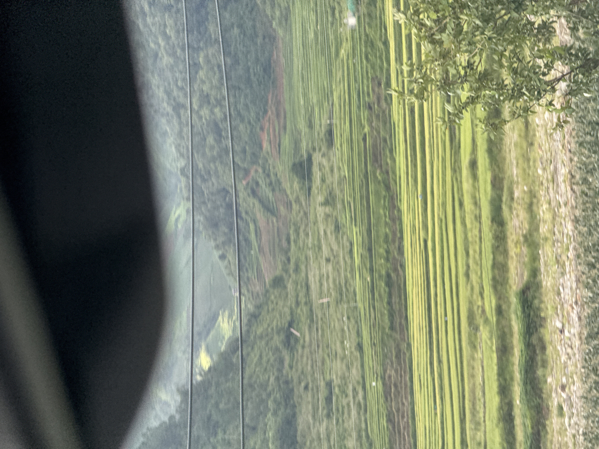 The image depicts a rural mountainous landscape in Tú Lệ, Vietnam, characterized by extensive agricultural terracing under natural daylight. The upper third of the image is obscured by a dark, blurred, curved object, likely an interior vehicle component or lens obstruction.
In the background, steep, verdant mountains covered in dense foliage rise, displaying several reddish-brown patches of exposed earth on their slopes, indicative of landslides or cleared land. A series of parallel power or communication lines horizontally traverse the mid-upper section of the scene.
The midground is dominated by numerous meticulously cultivated terraced fields, primarily a vibrant green. Some sections of these terraces exhibit a lighter, yellowish-green hue, suggesting different stages of crop growth or varying crop types (likely rice paddies). Small, indistinct, light-colored structures are faintly visible scattered within the terraced landscape and on the lower mountain slopes.
The immediate foreground features a roughly textured area of sparse vegetation and exposed earth. On the lower right, a distinct green leafy bush or small tree is prominently positioned, partially obscuring the view of the terraced fields. No human figures or animals are discernible in the scene.