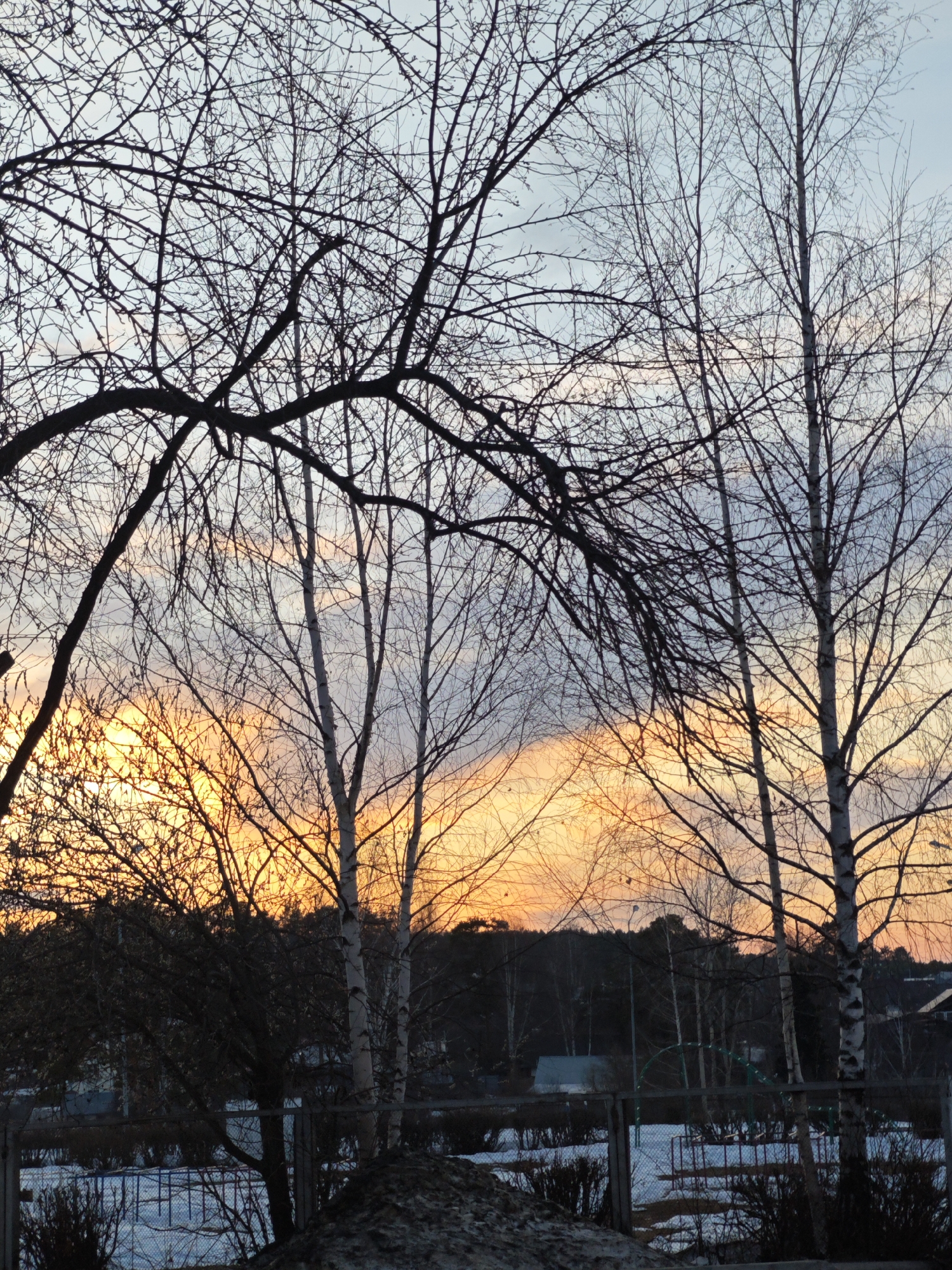 The image captures a winter scene in Chaikovsky, Russia, at what appears to be dusk or dawn, given the orange and grey hues of the sky. Several bare trees dominate the foreground, their intricate branch patterns silhouetted against the colorful sky. The trees appear to be birches and possibly other deciduous types without leaves. Beneath the trees is snow-covered ground with patches of exposed earth or snow. A simple metal fence runs along the lower portion of the frame. Beyond the fence, there's a glimpse of what seems to be a playground structure, possibly with metal bars, and in the distance, a dark forest line along with a few houses, hinting at a residential area. The overall composition conveys a sense of stillness and the stark beauty of a winter landscape.