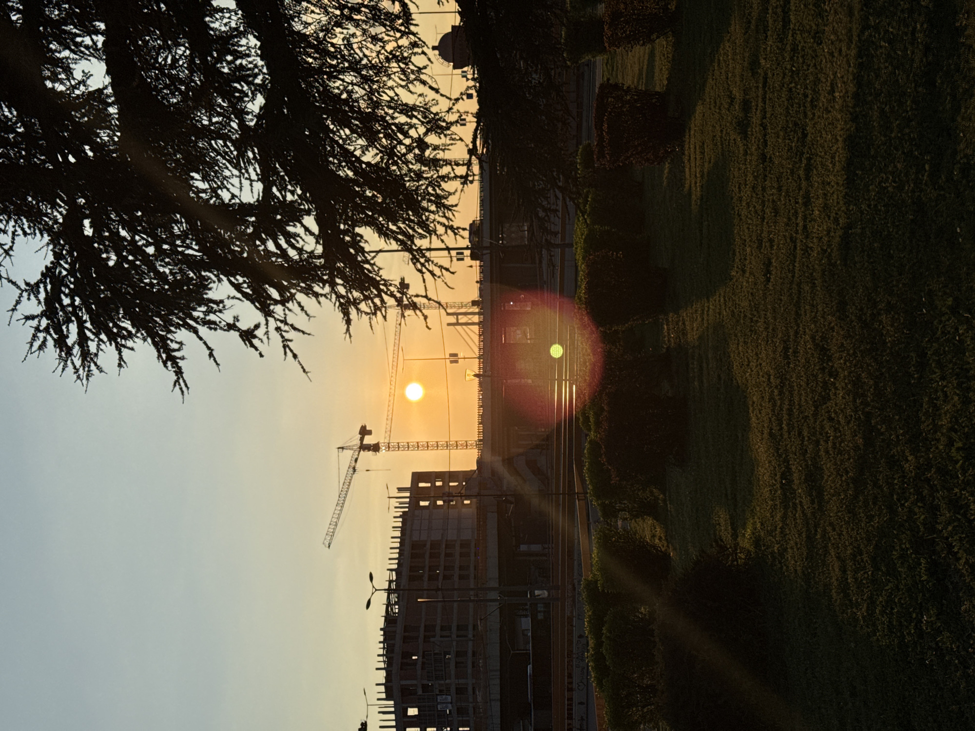 The image shows a view toward a construction site during sunset in Belgrade, Serbia.
A large, unfinished building is visible, with a crane next to it. The setting sun is positioned above the building. The foreground includes greenery, possibly a park area, with shadows cast by trees. A silhouette of a tree is visible on the left side of the image. There's a road with streetlights that pass by the construction site.