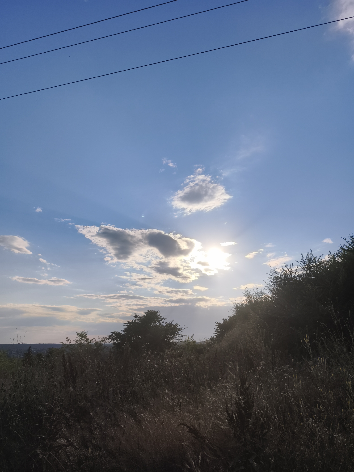 An outdoor, vertical, medium shot captures a sunlit sky over a rural landscape in Codru, Moldova. Three power lines stretch horizontally across the upper third of the frame against a bright blue sky dotted with scattered white and grey clouds. The sun is positioned in the center-right of the sky, partially obscured by clouds, casting rays of light. The lower half of the image features a dense foreground of dry, tall grass and vegetation, casting long shadows. A line of dark green trees and bushes forms a natural horizon on the right side of the frame, obscuring the distant landscape and village. The overall scene depicts a natural, sun-drenched environment, likely during late afternoon or early morning.
