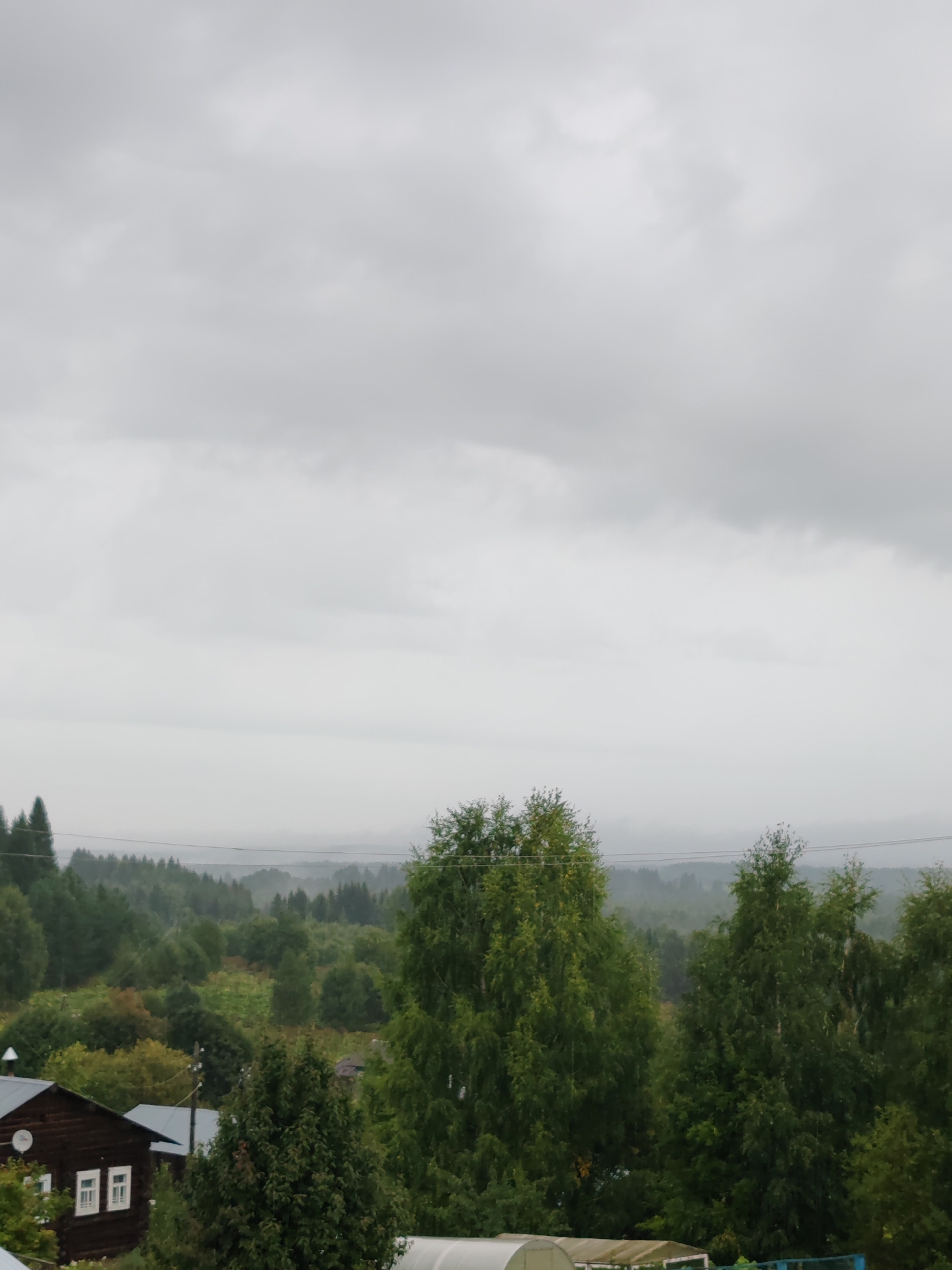 The image depicts a rural landscape under a cloudy sky, likely in the city of Chukhlem, Russia. In the foreground, a dark wooden house with white-trimmed windows is visible on the left. To the right of the house, lush green trees dominate the scene, with some appearing to be birches based on their foliage. The middle ground is filled with a dense forest of various trees, suggesting a natural or semi-wild area. In the distance, rolling hills covered in trees are shrouded in a light mist, contributing to the muted color palette of the image. Power lines are strung across the landscape, indicating the presence of infrastructure. The overall atmosphere is overcast and somber, typical of a cloudy or rainy day. There are no people or animals visible in the frame.