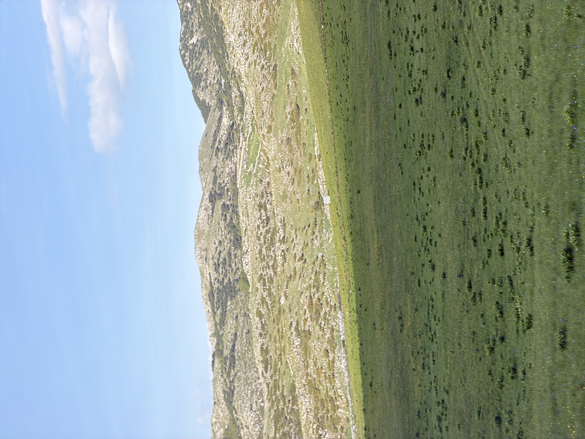 The image shows a mountain landscape in Pišče, Montenegro. The scene depicts a rocky mountainside transitioning into a grassy plain. Patches of vegetation dot the mountain, while the plain is covered in green grass with clusters of darker green vegetation scattered across it. The sky is a light blue color with a few white clouds in the upper left corner.