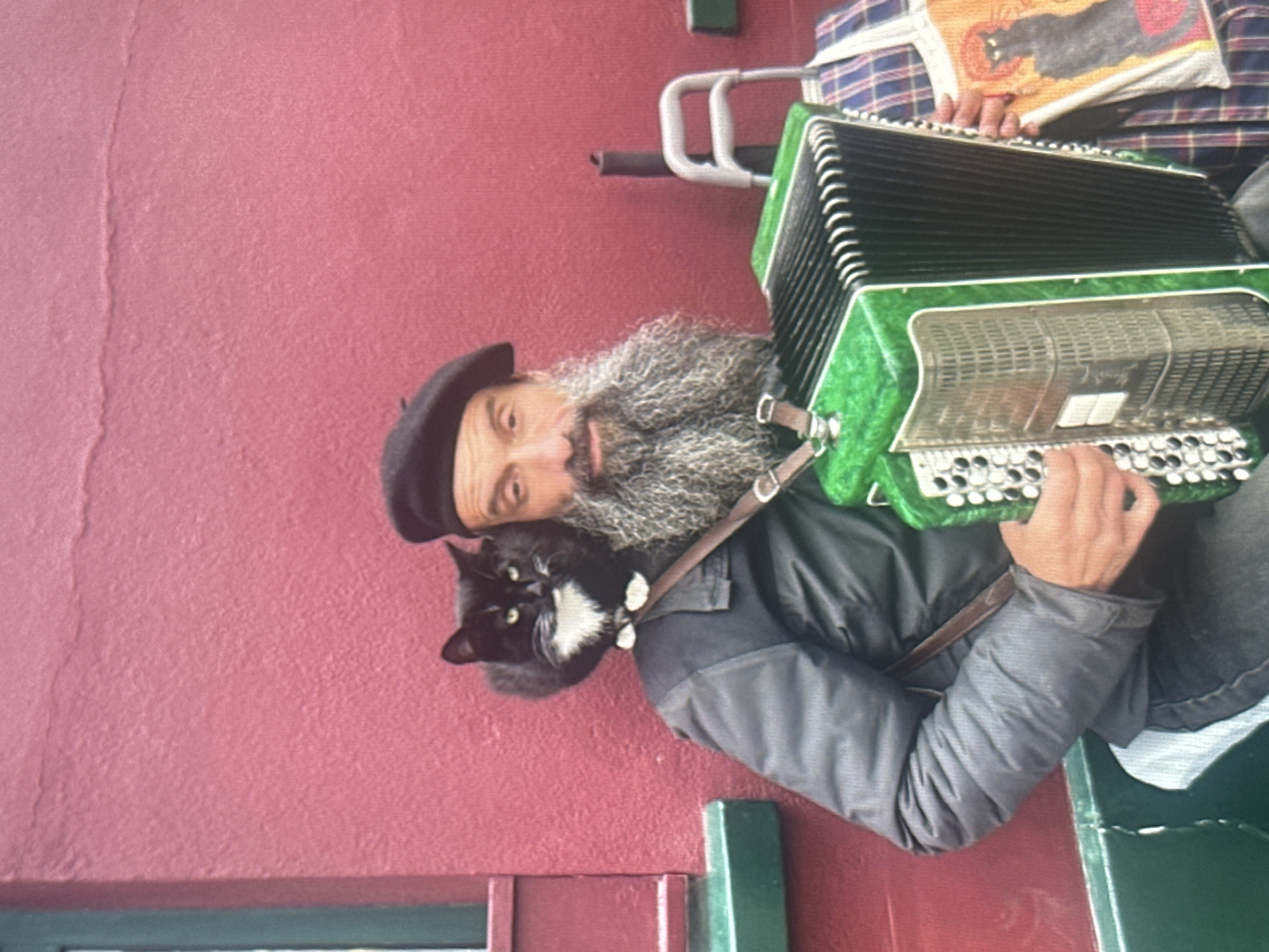 In the city of Unknown, Unknown, a man with a long, bushy grey beard and a black beret is sitting outdoors, playing a bright green accordion. A black and white cat is perched on his left shoulder, looking towards the camera. The man is wearing a dark jacket over a grey shirt. To the right of the man, a plaid bag is visible, and next to it, a rolling suitcase with a light grey handle. The background is a textured, reddish-pink wall. The scene appears to be on a street or walkway, with hints of a building structure to the left featuring a green painted section.