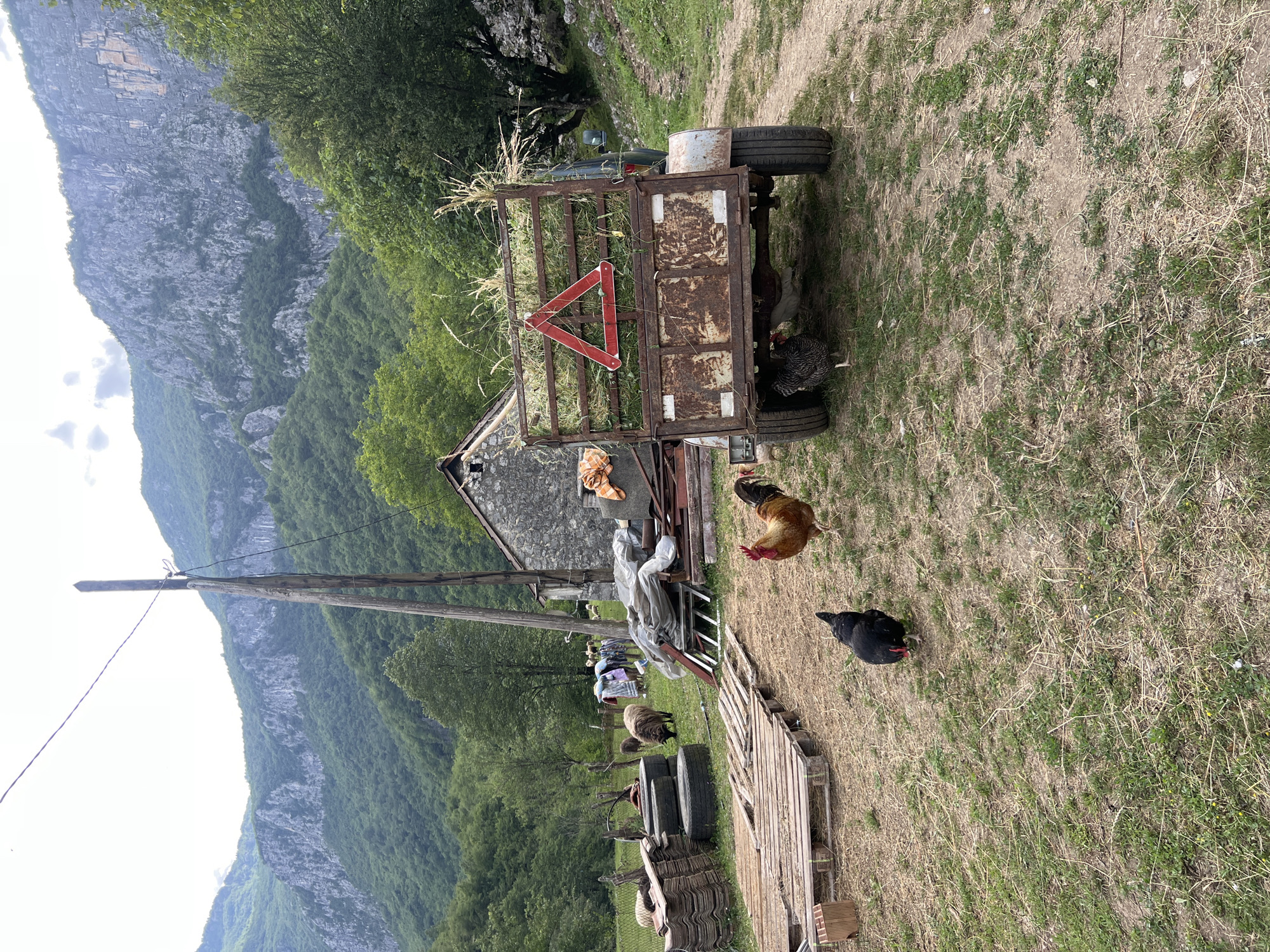 This image shows a rural scene in Međuriječje, Montenegro. A small, rusty trailer with a red triangle hazard sign is parked on a grassy area. Hay is loaded onto the trailer. A rooster and two hens are roaming near the trailer. In the background, there is a building with a stone roof, clothes hanging on a line, and sheep. A wooden pallet and a stack of tires are on the ground. The terrain rises sharply to reveal a large, forested mountain. A power pole is also visible.