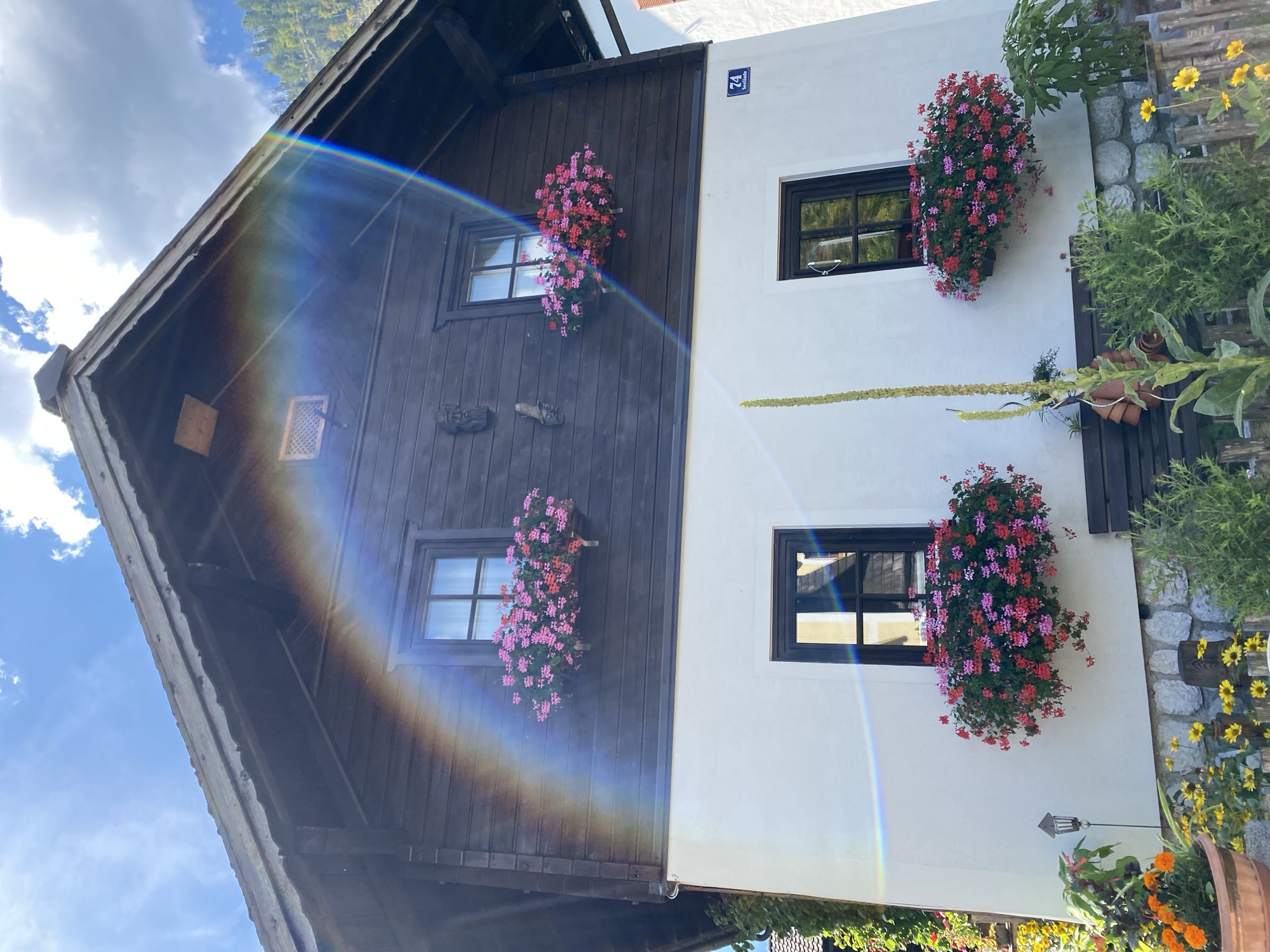 A dark brown wooden upper story with two windows and flower boxes, is situated above a white stucco lower story with two windows, of a building in Hallstatt, Austria. The upper story is peaked and has a dark roof with some discoloration. The windows on the upper story have dark frames and are adorned with hanging flower boxes filled with pink and red flowers. Above the windows on the upper story, there is a decorative carved wooden face on the left and a small, square vent with a wooden frame on the right. The white lower story also features dark-framed windows with similar flower boxes overflowing with pink and red blossoms. A number 74 is visible on a blue sign on the right side of the white wall. The building is surrounded by greenery, with potted orange and yellow flowers in the foreground. A wooden fence runs along the lower edge of the image. A rainbow-like refraction of light streaks across the upper part of the building, from left to right, creating a prismatic effect. The sky above is blue with scattered white clouds, and the faint outline of a distant hillside is visible. The scene is bathed in sunlight, contributing to the vibrant colors of the flowers.