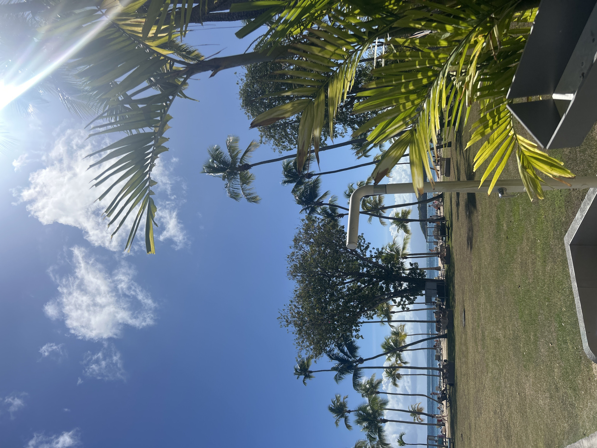 The image displays a tropical coastal scene in Sainte-Anne, France (Guadeloupe), under a bright, clear blue sky with scattered white cumulus clouds. Intense sunlight originates from the upper right, causing a visible lens flare.
In the immediate foreground, to the right, vibrant green palm fronds partially obstruct the view, heavily illuminated by the sun. Below these fronds, a grey rectangular object, possibly part of a refuse bin or a structural element, is visible at the bottom right. A light-colored, curved metal pole or fixture is also partially visible behind the foreground foliage, positioned to the right of the image center.
The midground features an expansive, well-maintained green grassy lawn. Numerous slender, tall palm trees are scattered across this area, with their dark green fronds silhouetted against the sky. A large, dense deciduous tree with dark green foliage stands prominently towards the center-right of the midground. Several rectangular sun loungers or daybeds are sparsely arranged on the grass closer to the beach, some appearing occupied.
The background transitions to a wide sandy beach, upon which approximately 15-20 individuals are present. These people are observed walking along the shoreline, standing, or reclining on various beach chairs and loungers. The calm, blue ocean extends beyond the beach, showing gentle waves. In the far distance, across the water, faint outlines of landmasses or hills are visible on the horizon.