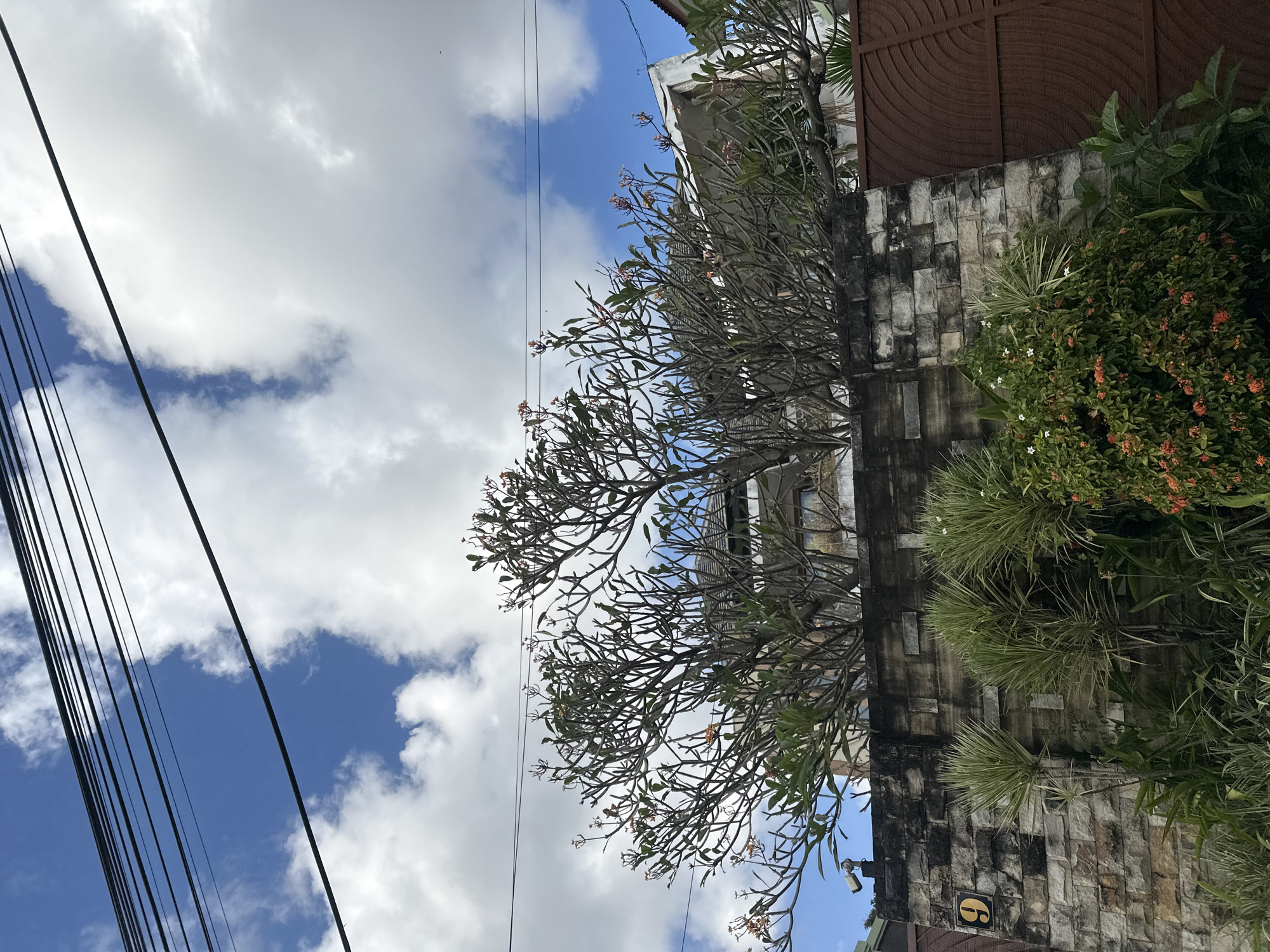 The image shows a residential property in Denpasar, Indonesia, on a day with a partly cloudy sky. A stone wall, possibly a property boundary, is visible in the foreground, with a house and a large tree with branches extending over the wall. The tree appears to be a frangipani tree, given its characteristic branches and sparse foliage. On the wall, a yellow house number '9' is prominently displayed. Other foliage, including spiky plants and flowering bushes with small orange flowers, is present in front of the wall. Overhead, power lines are strung across the sky. A security camera is mounted on the left side of the wall. A dark brown metal gate is visible on the right side of the image.