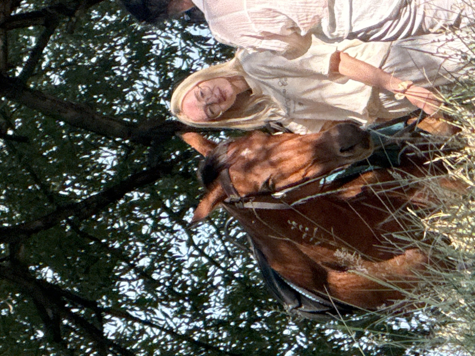 In Zaprudnoe, Ukraine, a brown horse stands in tall grass under a leafy tree. A young woman with blonde hair and glasses, wearing a light-colored t-shirt and pants, stands next to the horse, facing the viewer. Her left arm is extended, and she appears to be holding the horse. A second person, partially visible on the right, is also present, wearing a light-colored shirt. The scene is bathed in natural light, suggesting it is daytime.