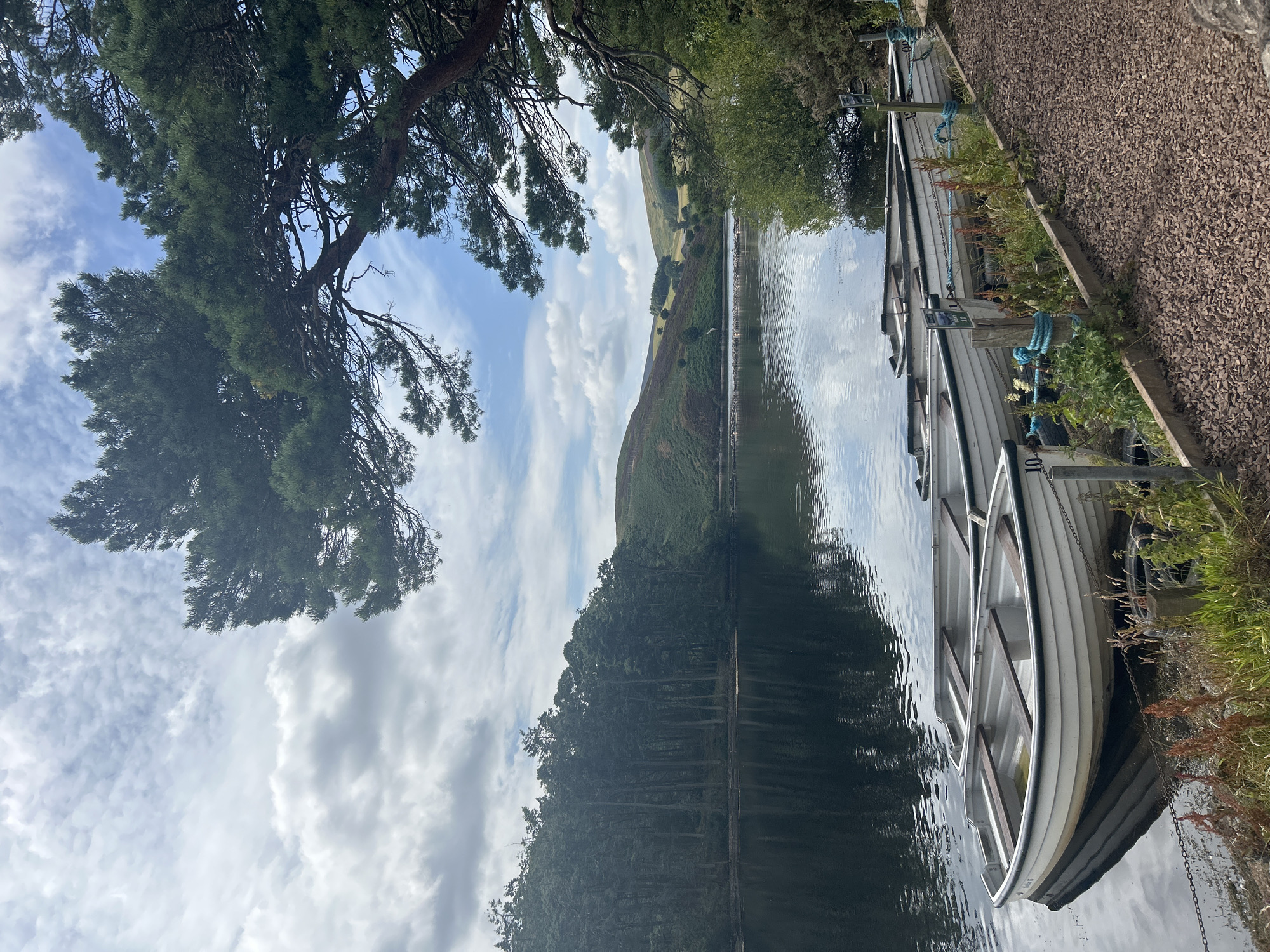 The image depicts a serene waterscape at Roslin Glen Country Park, near Penicuik, United Kingdom. In the foreground, several white rowing boats are docked along a wooden pier, their reflections shimmering on the still surface of the water. The boats are secured with blue ropes to posts, some of which bear small signs. A gravel path runs alongside the pier, bordered by lush green vegetation and dried reeds.
The middle ground of the image features a tranquil lake, its dark water mirroring the overcast sky and the dense forest that lines its far bank. The trees are tall and dark, creating a dramatic contrast with the lighter hues of the sky and distant hills.
The background is dominated by rolling hills, covered in a patchwork of green and purple heather, suggesting a rural, natural setting. A few scattered trees and structures are visible on the hillsides. Overhead, the sky is a mix of dramatic clouds and patches of blue, with a large pine tree branch extending into the frame from the upper right corner, its needles sharp and green against the sky. The overall atmosphere is peaceful and idyllic, capturing a moment of calm in a natural landscape.