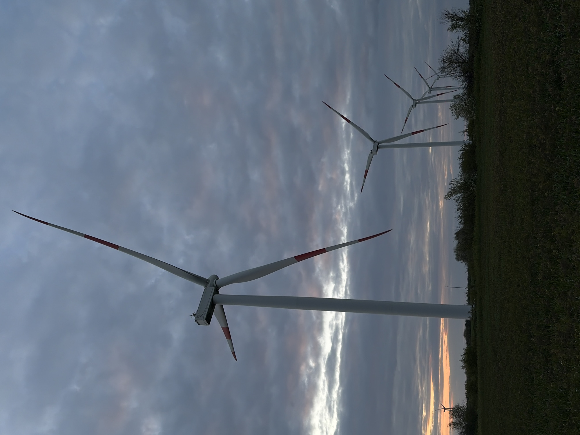 The image shows a row of wind turbines at dusk. The closest turbine is prominently featured, with its three blades stretching towards the cloudy sky. The blades are white with red tips. Further down the row, other turbines are visible, diminishing in size with distance. The ground is covered in grass, bordering what appears to be a tree line. The sky is a mix of gray and dark clouds, with a sliver of orange light on the horizon, indicative of the setting sun. The location is Molchanovka, Russia. There are no people visible in the image.