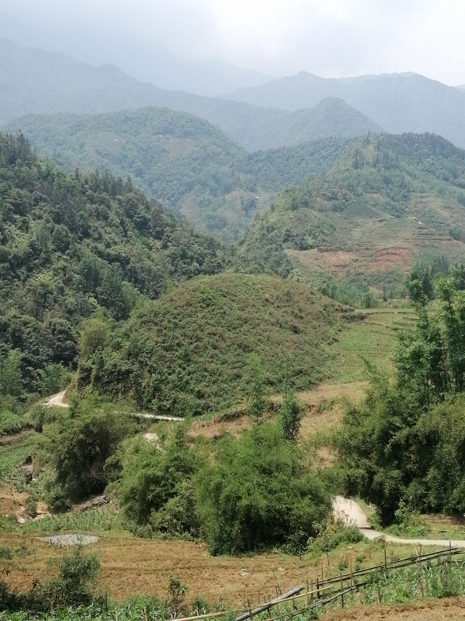 A sweeping panoramic view showcases the majestic, verdant mountainous landscape of Sa Pa, Vietnam, under a diffused, hazy sky. In the foreground, terraced agricultural fields, some appearing fallow with light brown earth and others cultivated with young green crops like corn, stretch across the lower slopes. A rustic, low fence made of thin wooden or bamboo poles borders a field in the lower right. A light-colored dirt path or road winds through the scene, disappearing and reappearing amidst the dense vegetation.
The midground is characterized by numerous rolling hills and valleys, heavily forested with a variety of green trees, including notable bamboo groves. Signs of human activity are evident in the form of clearings and additional terraced areas on some distant slopes. Beyond these, successive layers of mountains extend into the background, gradually fading into a soft atmospheric haze, emphasizing the immense scale of the terrain. The overall impression is one of tranquil, untouched nature intertwined with traditional agricultural practices. The scene is illuminated by the bright, even light of daytime, suggesting either an overcast day or the typical misty conditions of a mountain region. No people or specific events are visible, and there is no discernible text.