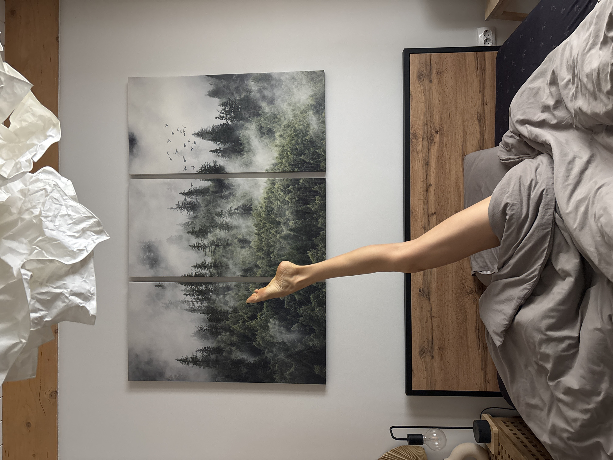 The image shows a bedroom interior. A bed with a wooden headboard covered with gray sheets and blankets occupies the right side of the frame. An arm extends from beneath the sheets. On the left wall hangs a three-piece artwork depicting a misty forest scene with birds. A crumpled white object is mounted near the left edge of the frame, on a wooden support. The photograph was taken indoors in a place within the city of Chaikovsky, Russia.