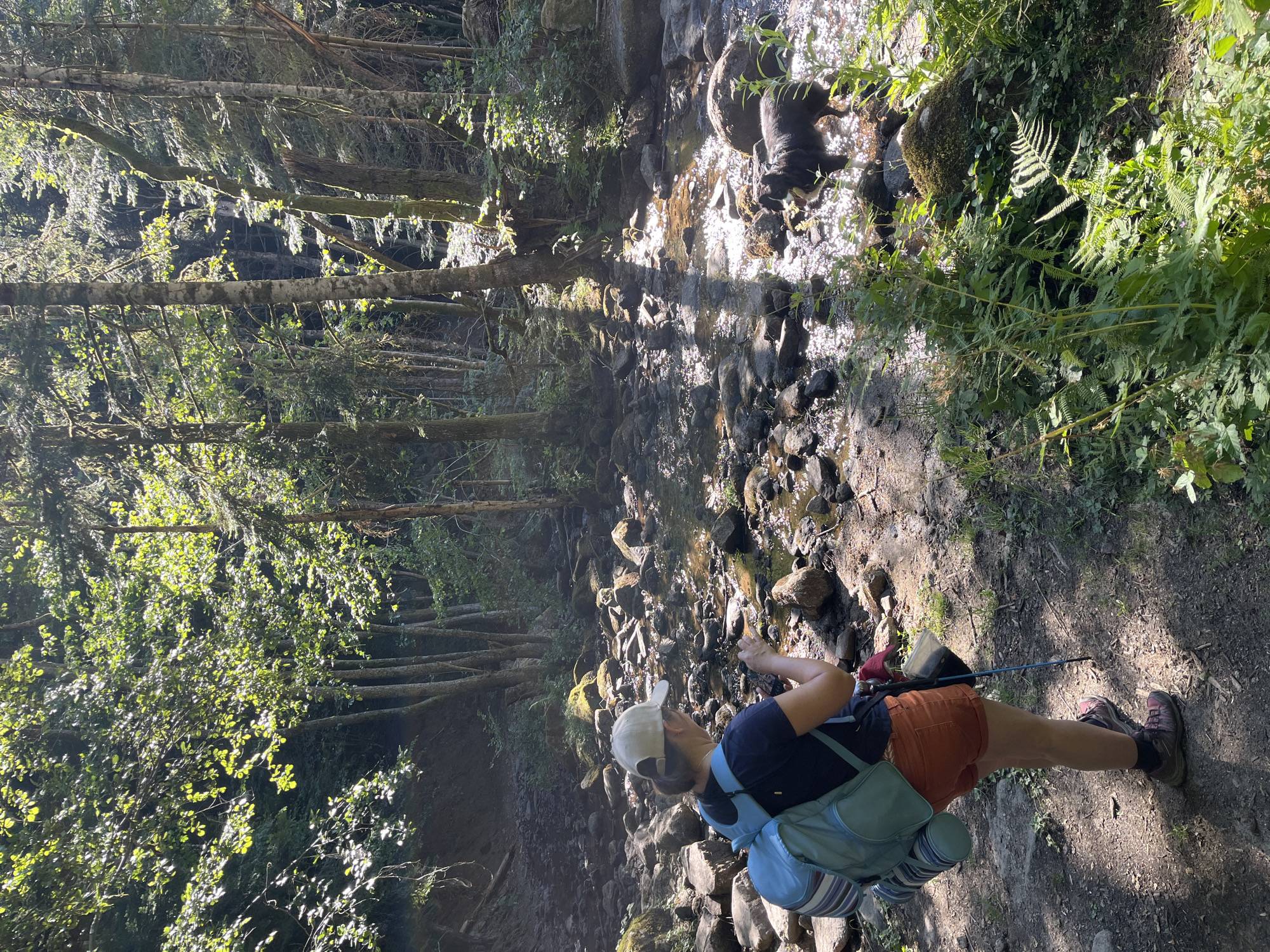 A woman, wearing a light-colored baseball cap, a dark blue t-shirt, and orange shorts, stands on a dirt path next to a shallow, rocky stream. She has a light blue backpack with striped detailing on her back and is holding a trekking pole in her right hand and a mobile phone in her left. A black and white dog is partially submerged in the stream to the right of the woman, appearing to be drinking or playing. The environment is a forest with tall trees, dappled sunlight filtering through the leaves, and lush green undergrowth. The stream bed is composed of various-sized rocks and pebbles. The scene depicts a moment of rest or observation during an outdoor excursion. The location is identified as Gumières, France.