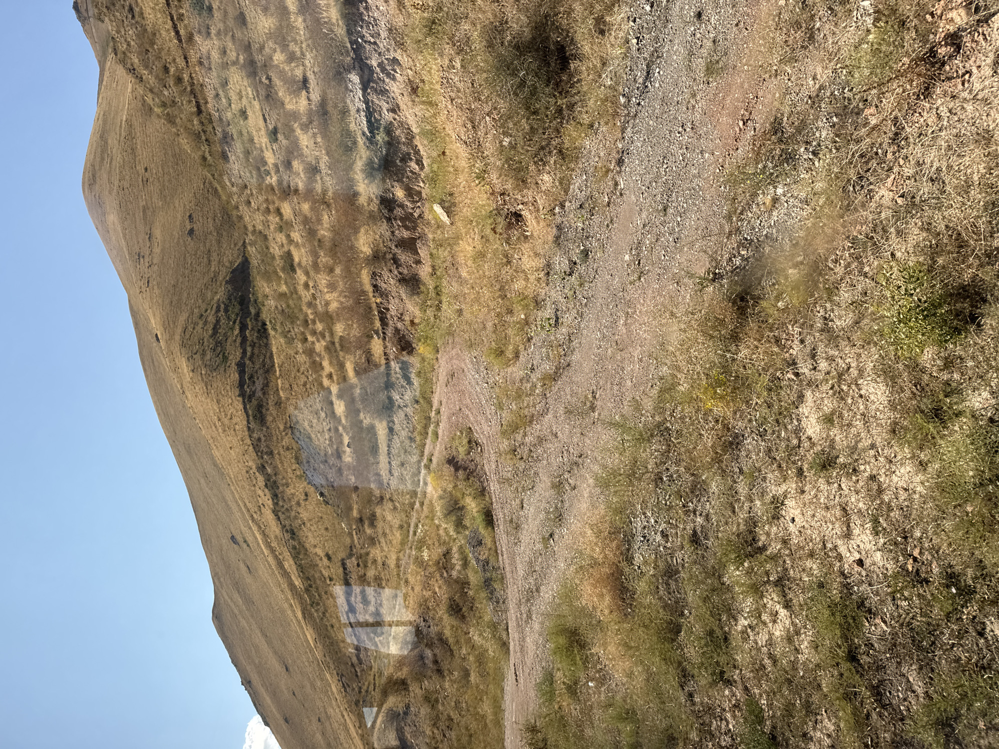 A dry, dusty mountain landscape under a clear blue sky. A dirt road winds its way up the barren, golden-brown slope of a hill. Sparse, dry grass and small shrubs dot the terrain. The road appears to be a well-worn path, suggesting it has been used for some time. The overall impression is one of a remote and arid location. The scene is likely located in Sasyk-Bulak, Kyrgyzstan, given the characteristic arid, mountainous terrain.