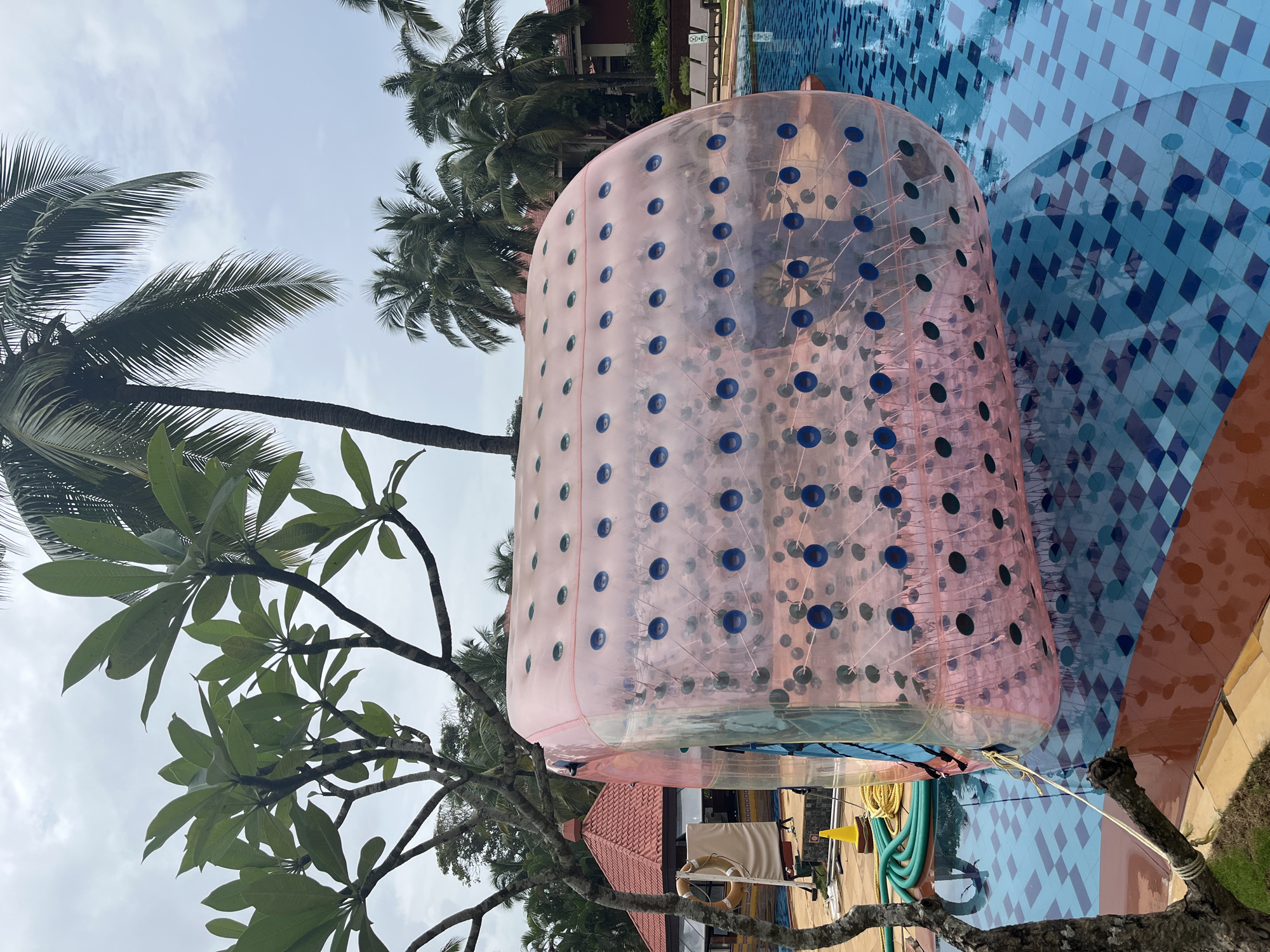 An inflatable zorb ball, pink in color with circular blue and green accents, floats in a swimming pool. The zorb is tethered to the side of the pool by a white rope. The pool water has a checkered pattern of blue and dark blue tiles. Adjacent to the pool, a walkway is paved with reddish-brown tiles. In the background, lush green palm trees and other foliage suggest a tropical or subtropical environment. A red-roofed building with awnings is visible behind the zorb. Equipment, including a yellow traffic cone and green hoses, is situated near the pool's edge. The sky is overcast. The location is identified as Fatrade, India.