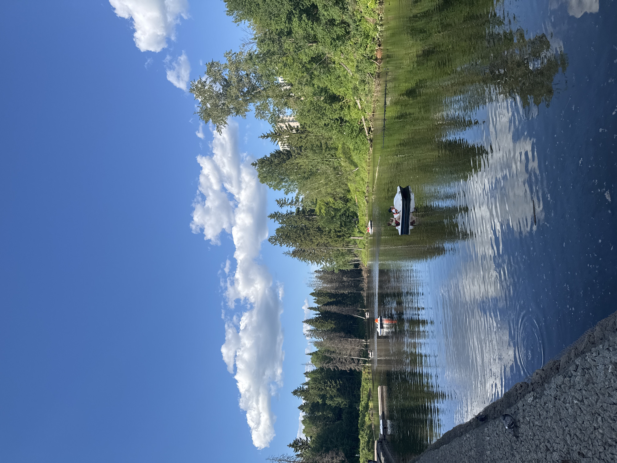 The image displays a sunny daytime scene on a body of water in Izhevsk, Russia, likely a lake or wide river, bordered by dense forest. The sky above is a bright blue, featuring scattered white cumulus clouds.
In the foreground, a dark grey, textured embankment constructed of gabions runs along the lower left. Two pigeons are resting on this embankment. The water surface is mostly calm, clearly reflecting the blue sky, white clouds, and green trees, with gentle ripples visible, particularly near the embankment and around watercraft.
Multiple pedal boats are present on the water. In the lower-mid left, a white pedal boat carries two individuals, both wearing orange life vests. Further into the mid-ground, another white pedal boat with an orange component is observed, along with other less distinct boats in the distance.
Both the left and right banks are heavily forested. The left bank features a dense array of tall coniferous and deciduous trees, with a wooden dock extending into the water. The right bank is similarly lush with greenery; a tall, light-barked tree stands out in the mid-right. A multi-story, light-colored building is partially visible through the trees on higher ground on the right bank. Several fallen logs are visible along the water's edge on the right bank. The overall scene suggests a recreational area under clear weather conditions.