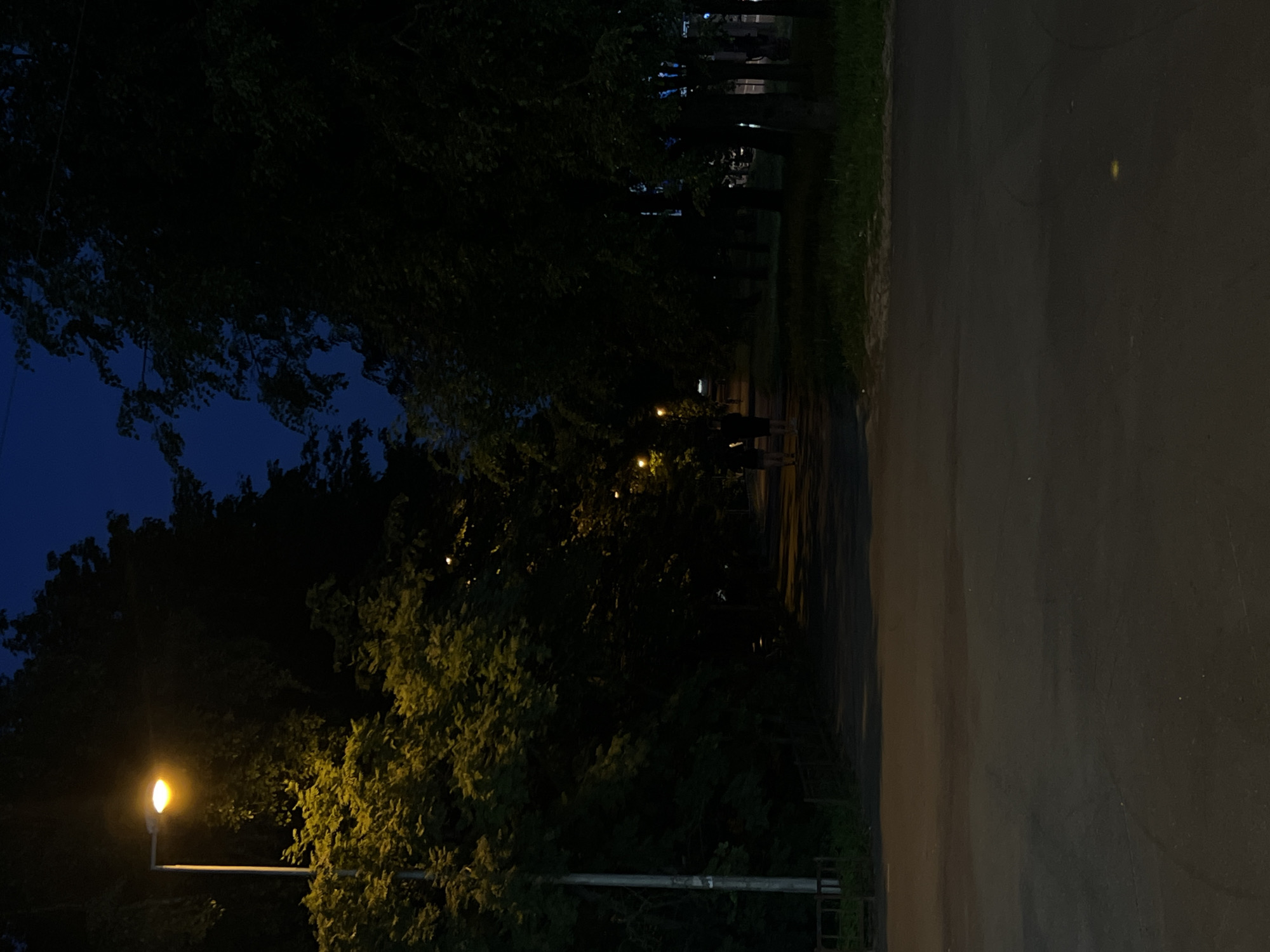 A wide-angle, eye-level shot captures a dimly lit park pathway at dusk. A single streetlamp on the left illuminates the lush green foliage of trees and the asphalt pathway, casting a warm yellow glow. Further down the path, two silhouetted figures are walking away from the camera. More streetlamps are visible in the distance, creating a trail of light leading into the shadows. The sky above is a deep indigo, indicating the transition from day to night. The overall scene is serene and quiet, with the natural elements of the park contrasting with the man-made lighting.