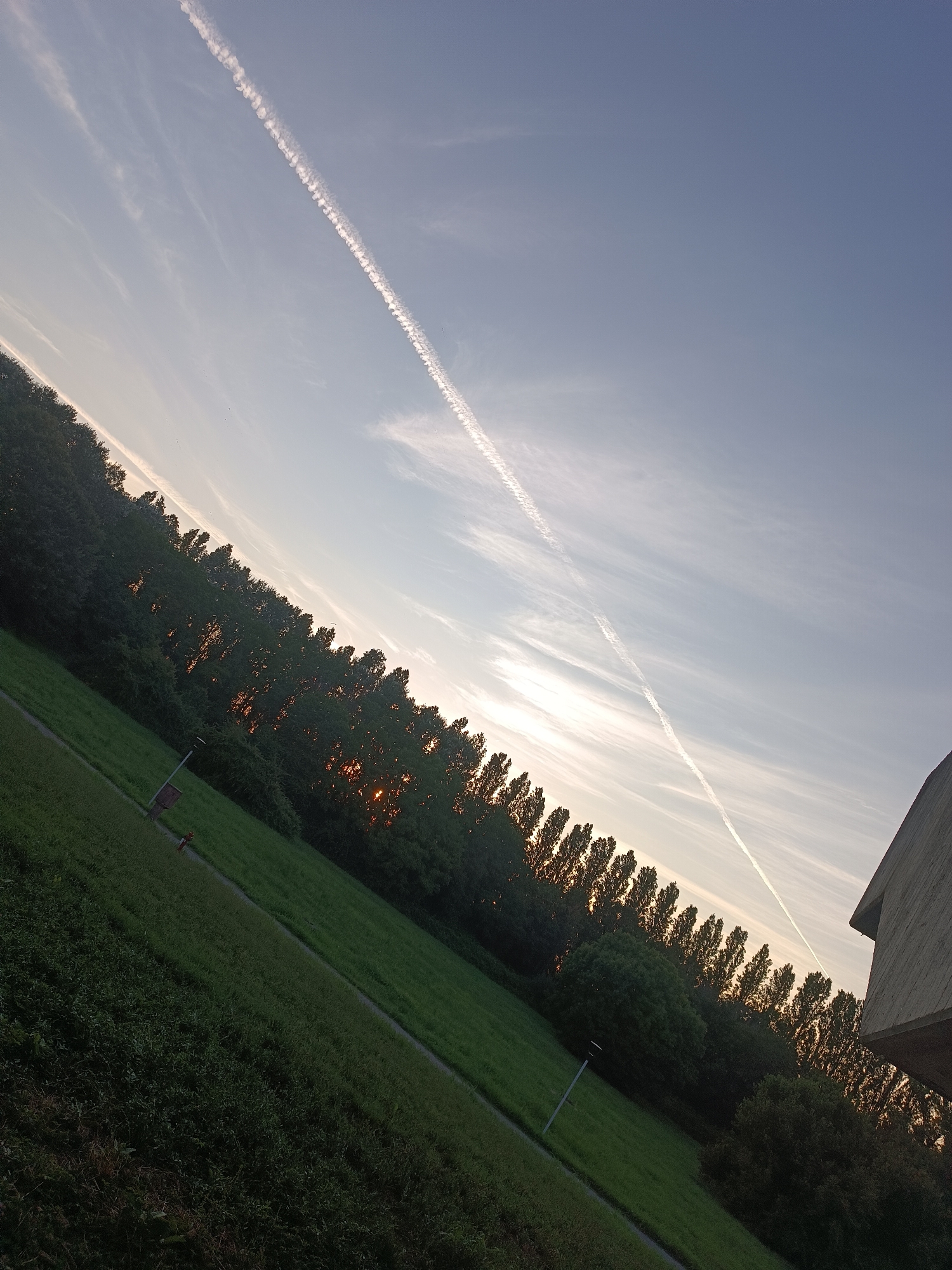 The image depicts a natural landscape with a clear sky and a line of trees. The sky is a light blue with some wispy clouds and a prominent contrail from an aircraft. The sun is setting or rising, casting a warm glow through the trees, creating silhouetted shapes. In the foreground, there is a grassy field with a paved path. A lamppost and a trash receptacle are visible alongside the path. A portion of a modern building with a slanted roof is present in the right foreground. The image is taken from an elevated perspective, with the ground sloping downwards from left to right. The scene appears to be in a park or a rural area on the outskirts of Casalmaggiore, Italy, given the direction of the sun and the architecture of the building. There are no people or animals visible in the frame.