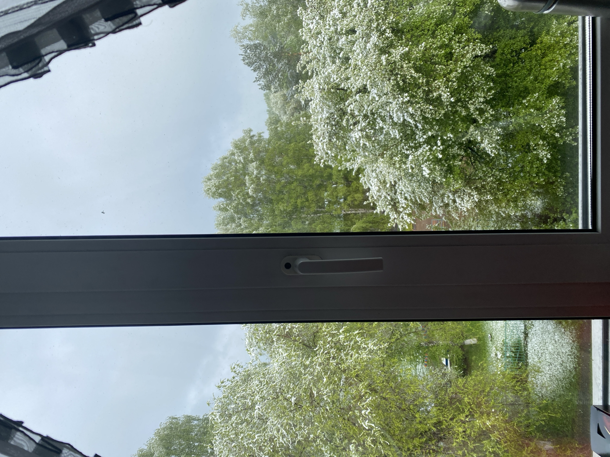 The image shows a view through a window, likely from an indoor setting. The outside scene appears to be a park or a green area with trees in full bloom, potentially during springtime. The sky is overcast, suggesting a cloudy or rainy day. A black curtain is visible at the top left corner of the image. The window frame is white and modern. There is no specific evidence in the image to confirm the location in Novokuznetsk, Russia. There are no people visible in the scene. The primary subjects are trees in blossom. There are no visible actions or interactions taking place.
