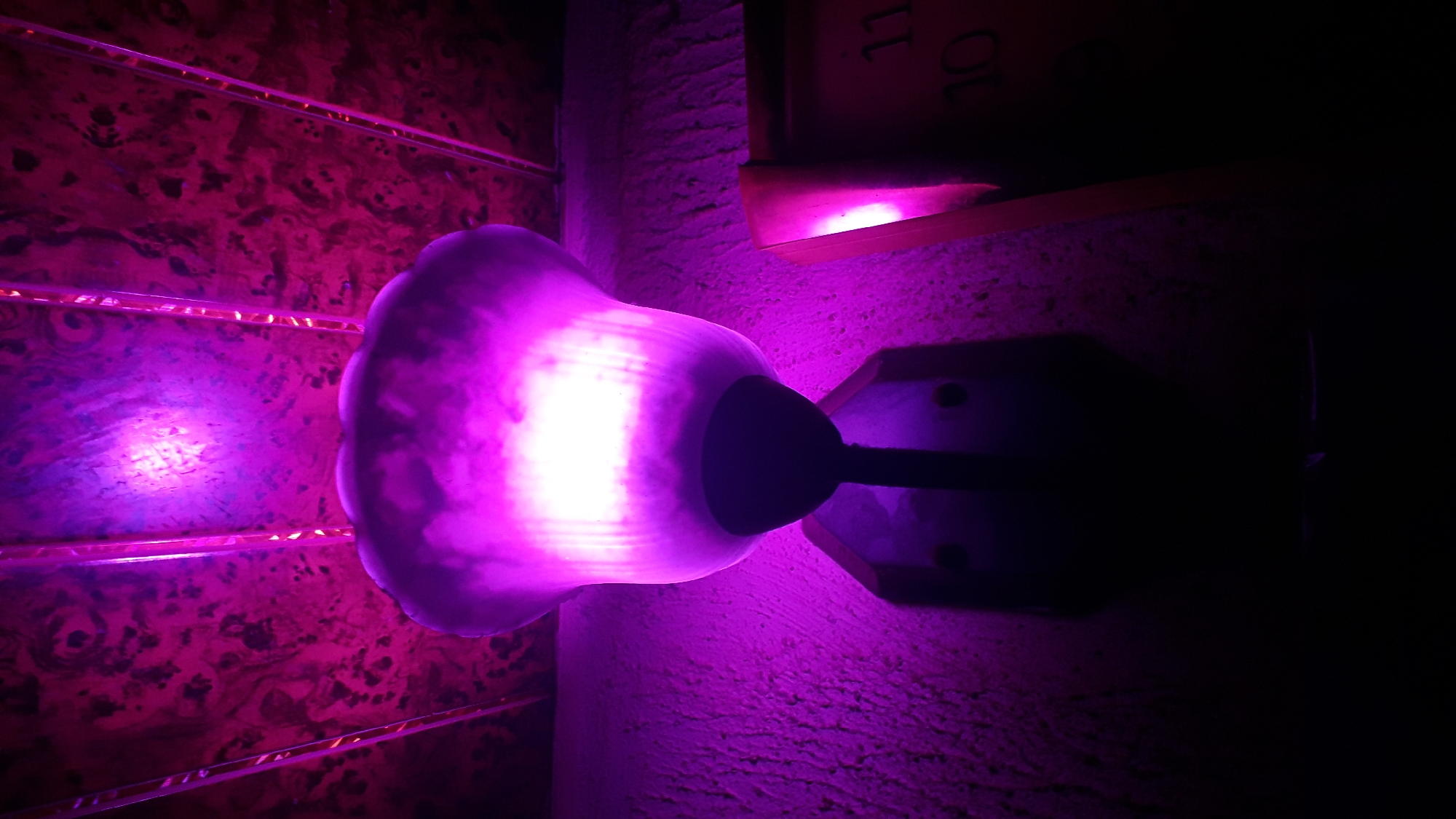 An interior shot shows a glowing, floral-shaped wall sconce emitting a bright purple light. The light illuminates a textured wall and the ceiling. The ceiling has parallel metal trim strips, and it is unclear if the ceiling has a patterned wallpaper or if the purple hue is from the light. A shelf with a partially visible book is in the upper right corner. The environment is dark beyond the range of the light. There is no indication of location.