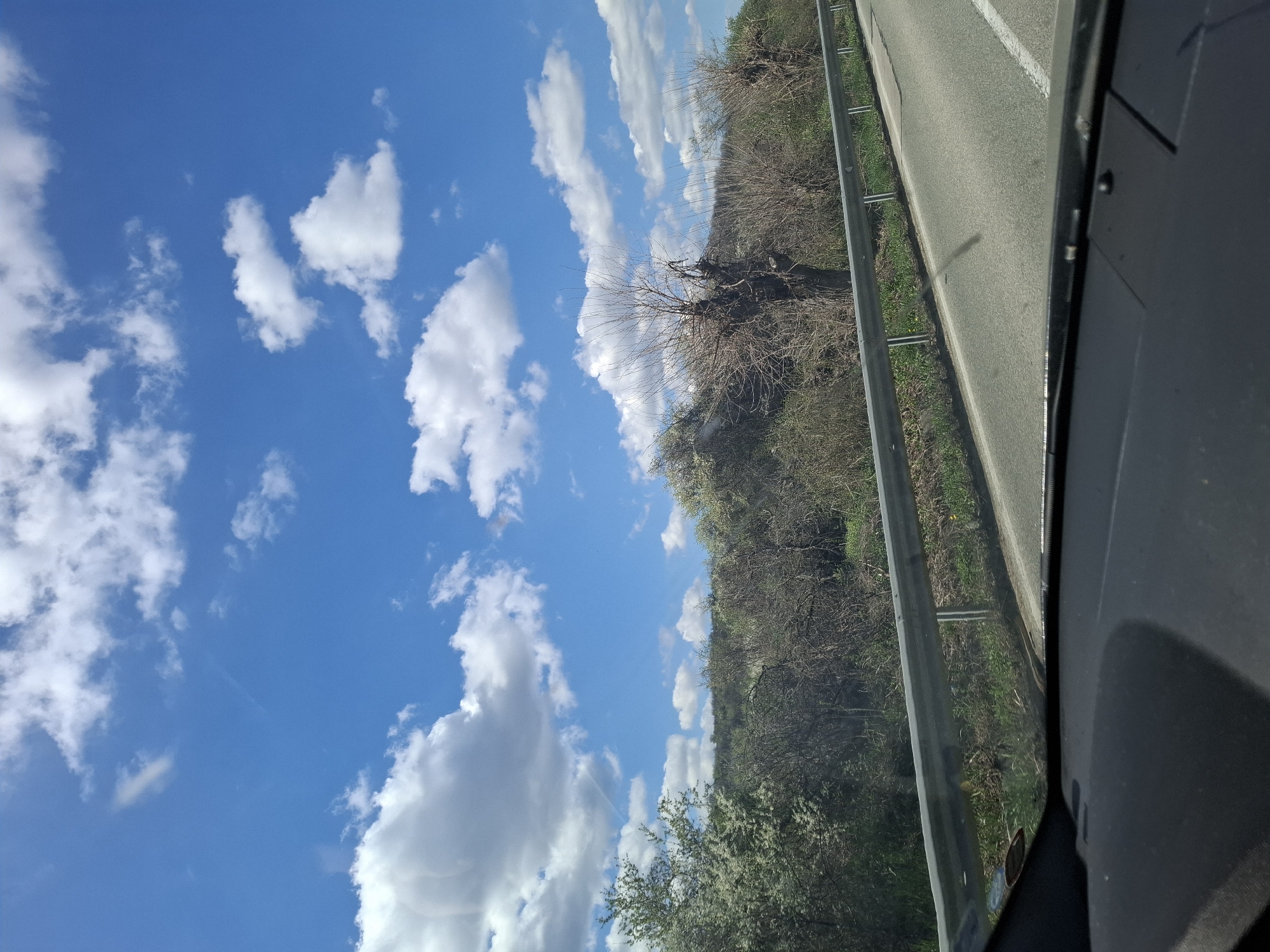 The image shows a view from inside a vehicle, likely a car, on a road. To the left is a bright blue sky with scattered white cumulus clouds. To the right, a road is visible with a metal guardrail separating it from a densely vegetated area including trees and bushes. The location is undetermined. There are no people visible. The vehicle's interior is seen in the bottom right corner of the image.