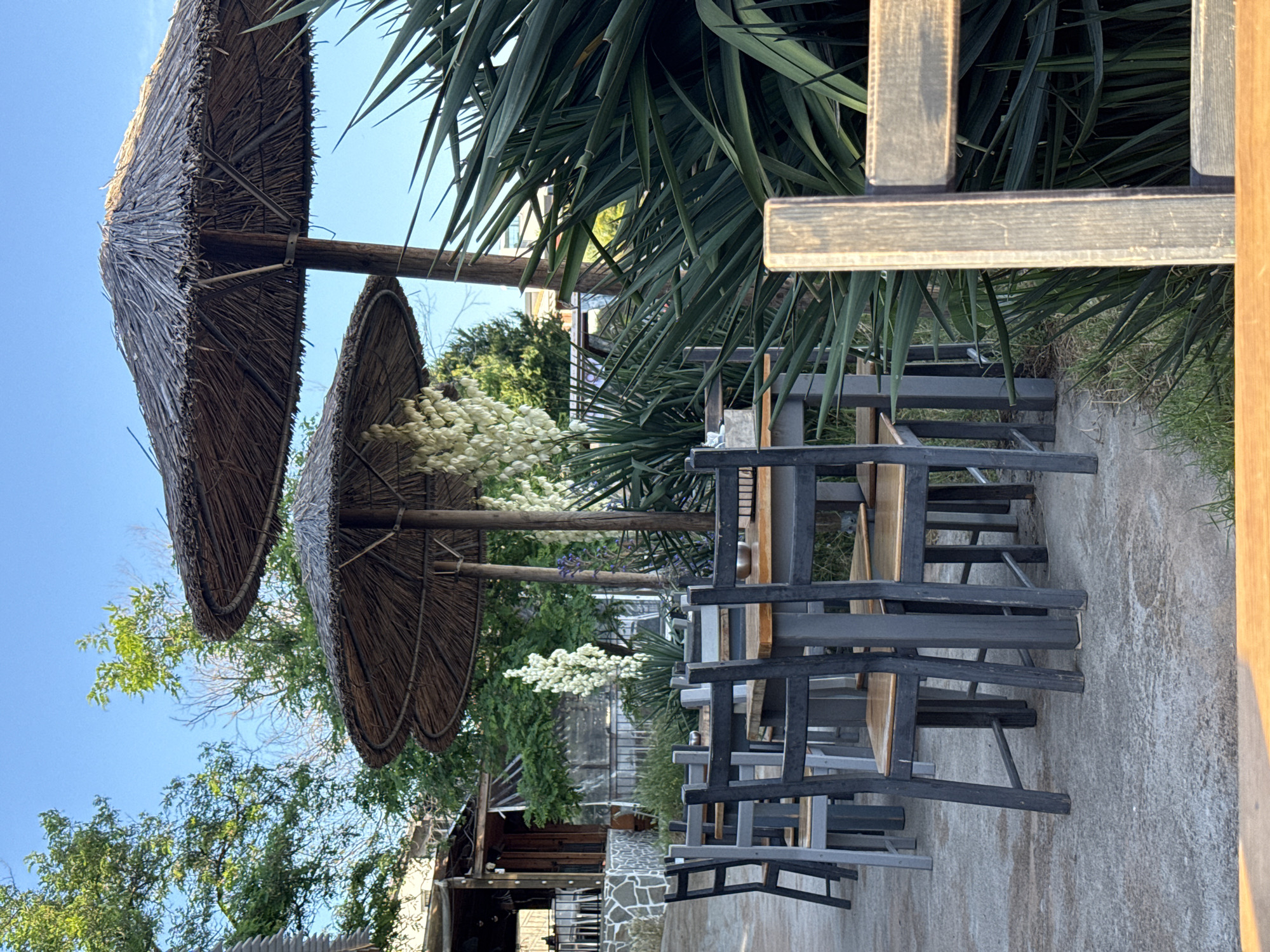 The image depicts an outdoor seating area with multiple tables and chairs, shaded by thatched umbrellas. In the background, a building with a stone base and wooden upper section is visible. Lush green foliage, including tall, spiky plants and flowering white yucca, surrounds the seating area. The sky is a clear blue. This scene is consistent with a restaurant or cafe located in Tsarevo, Bulgaria, likely a coastal town given the natural elements and outdoor dining setup. There are no people visible in the image. The overall impression is one of a serene and inviting outdoor space.