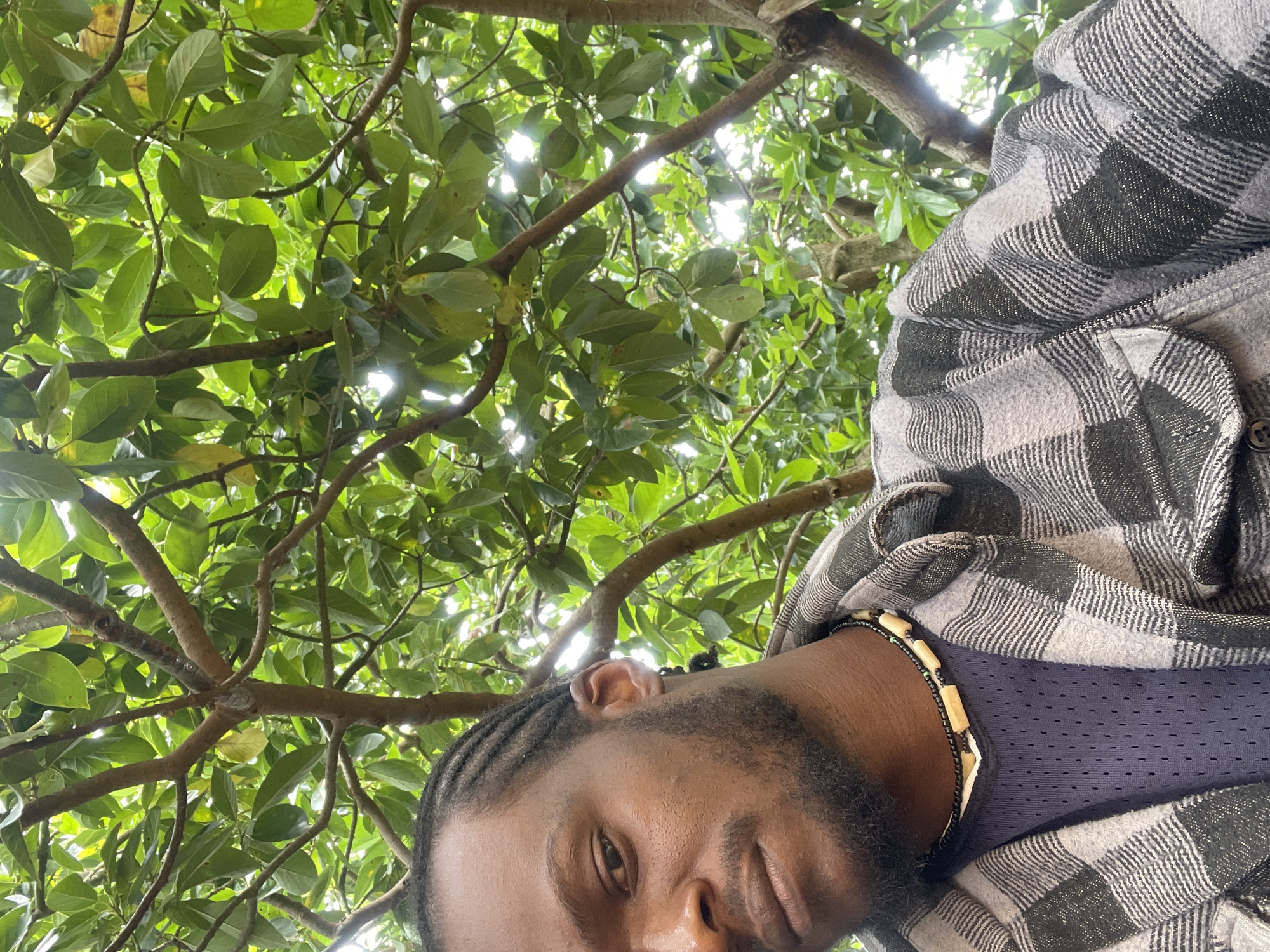 An upward-facing, rotated portrait captures a young Black man looking towards the camera, positioned beneath a lush canopy of green tree leaves and branches. The setting is outdoors, likely a tropical or subtropical environment, consistent with Jos, Nigeria, given the dense, vibrant foliage overhead. Bright sunlight filters through the leaves, creating dappled light and highlighting the vibrant greens, suggesting it is daytime with clear weather.
The man's face, shown in profile and close-up, occupies the lower right portion of the frame. He has short, dark hair styled in cornrows or braids, and a neatly trimmed beard and mustache. His expression is neutral and calm. He is wearing a grey and black plaid flannel shirt, which appears to be made of a fleece-like material, over a dark blue, mesh-textured undershirt. Around his neck, a beaded necklace is visible, featuring light-colored, rectangular beads interspersed with smaller black and possibly green beads. The framing suggests a selfie or a photo taken from a low angle, looking up into the tree. No visible text is present in the image.