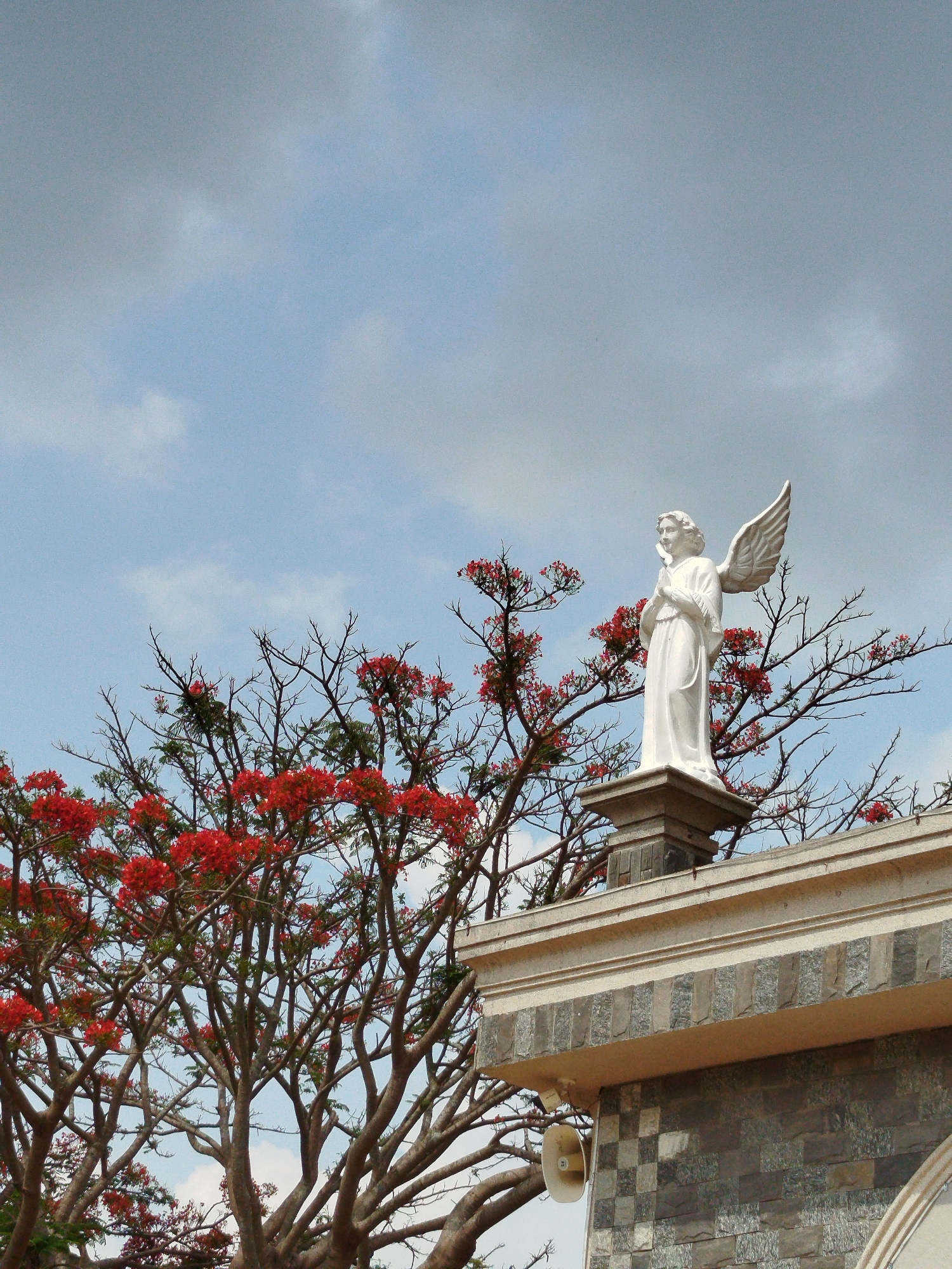 A white statue of an angel stands prominently on the upper part of a building in Giãn Dân, Vietnam. The angel, depicted as a woman with large, detailed wings extending from her back, has her hands clasped together in front of her chest, suggesting a posture of prayer or reverence. Her face is turned slightly upwards and to the right. The statue is placed on a robust, multi-tiered stone pedestal, which is part of the building's facade.
To the left and behind the angel statue, a large tree with intricate, bare branches dominates a significant portion of the frame. Many of these branches are adorned with clusters of vibrant red flowers, characteristic of a Flamboyant tree (Delonix regia). The tree provides a striking natural contrast to the white statue and the stone structure.
The building itself features a detailed stone or tiled structure, with a multi-layered coping below the statue's base and a wall composed of varied grey and lighter-toned square or rectangular tiles. A white, cone-shaped loudspeaker is mounted on the corner of the building, below the level of the angel's base.
The background consists of a clear blue sky, interspersed with soft, wispy grey and white clouds, indicating a daytime scene, possibly late morning or early afternoon. The overall atmosphere is tranquil and serene. There is no visible text or human activity within the image.