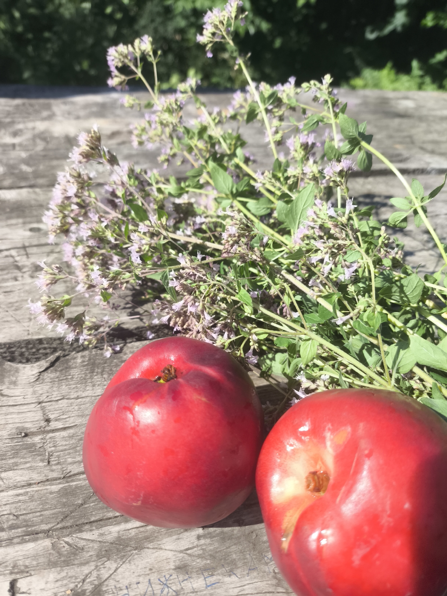 Two red apples and a bunch of blooming oregano lie on a weathered wooden surface. The wooden surface appears to be outdoors, possibly a picnic table or bench, given the presence of greenery and dappled sunlight in the background. The oregano has small, light purple flowers and green leaves. The apples are plump and shiny, with a smooth skin. The scene is well-lit, suggesting it was taken during the daytime. There are no people or animals visible in the image.
