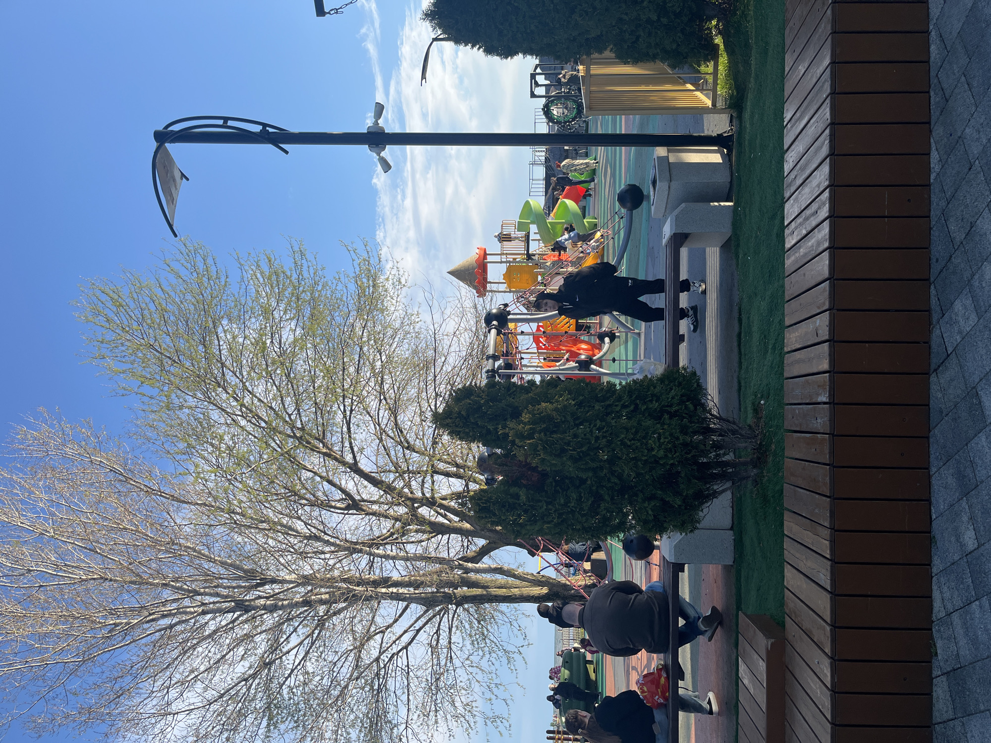 The image shows an outdoor scene, likely a park or public area, in Sochi, Russia. There's a playground with colorful climbing structures in the background. People are seen around the playground, some standing and some sitting on benches. A woman in dark clothing stands on a bench near the playground. A bare tree stands in the foreground on the left. A lamppost with a curved arm is near the tree. A wooden wall borders the edge of the park. The sky is blue with some clouds.