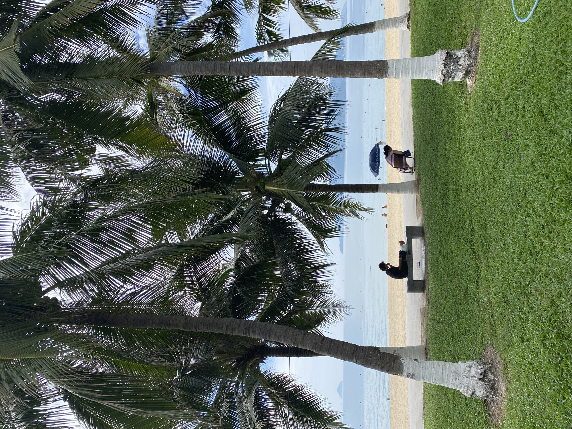 The image depicts a tranquil scene on a beach in Nha Trang, Vietnam, with several palm trees framing the view of the ocean. In the foreground, a lush green lawn gives way to a sandy beach. Two individuals are visible on the beach. To the left, a person in dark clothing sits on a stone bench, engrossed in their phone. To the right, another person is seated in a chair under a dark umbrella, facing away from the camera. The ocean stretches out in the background, with a few small islands visible on the horizon. The sky is partly cloudy.