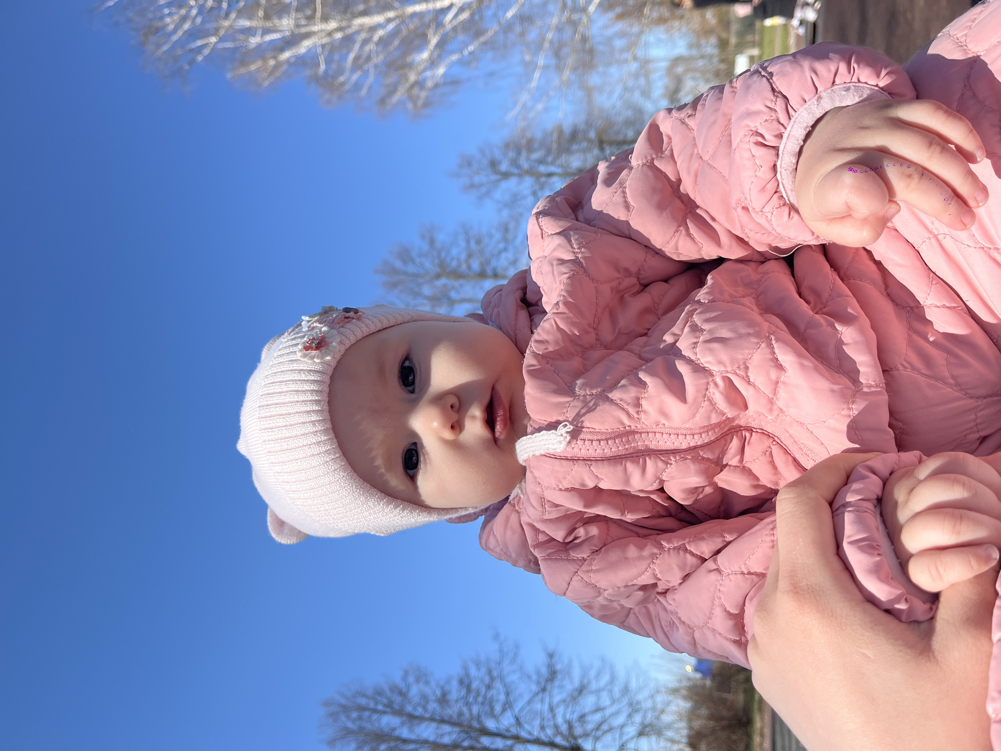A baby in a pink quilted jacket and hat is being held up against a clear blue sky with bare trees visible in the background. The scene appears to be outdoors, possibly in a park, in the city of Zav'yalovo, Russia. The location is inferred, not directly observed in the image.