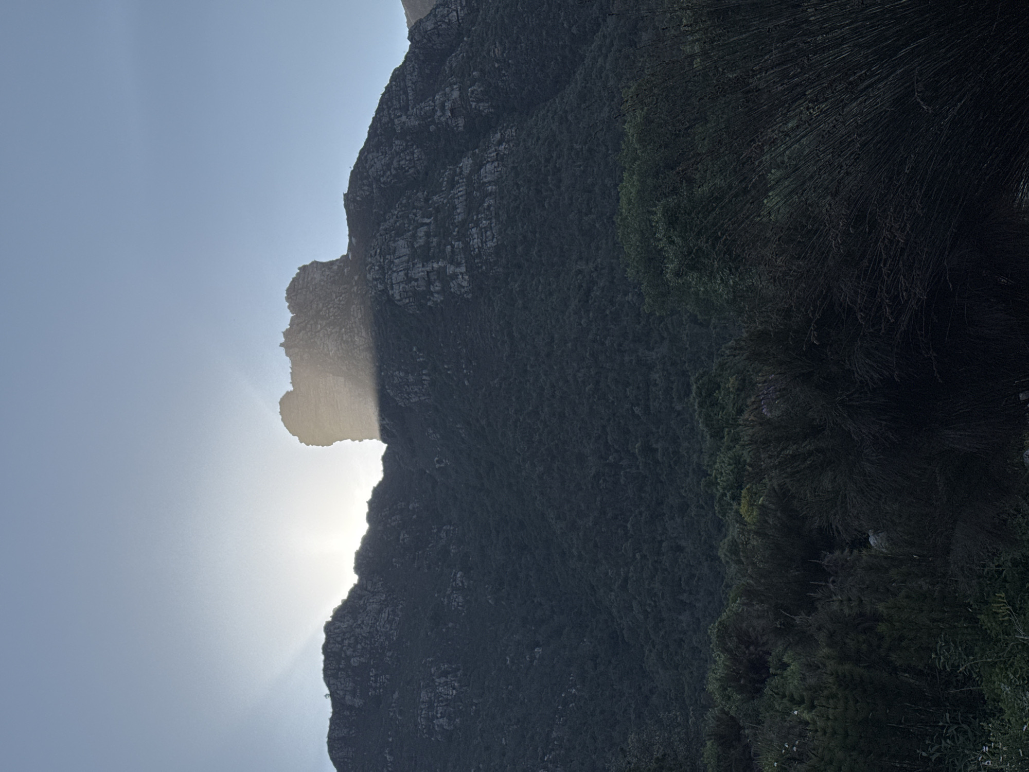 The image depicts a majestic mountain range under a clear sky, with the sun partially obscured behind a jagged peak, casting dramatic rays. The mountain slopes are covered in dense vegetation, transitioning to rocky outcrops near the summit. In the foreground, lush green bushes and dry, wispy grasses create a textured, natural foreground. The scene evokes a sense of natural grandeur and tranquility. The specific location is believed to be Lion's Head in Cape Town, South Africa, a popular hiking destination known for its distinctive shape and panoramic views.